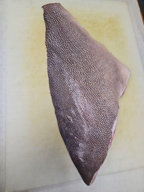 Kitty Mitchell grouper fillet