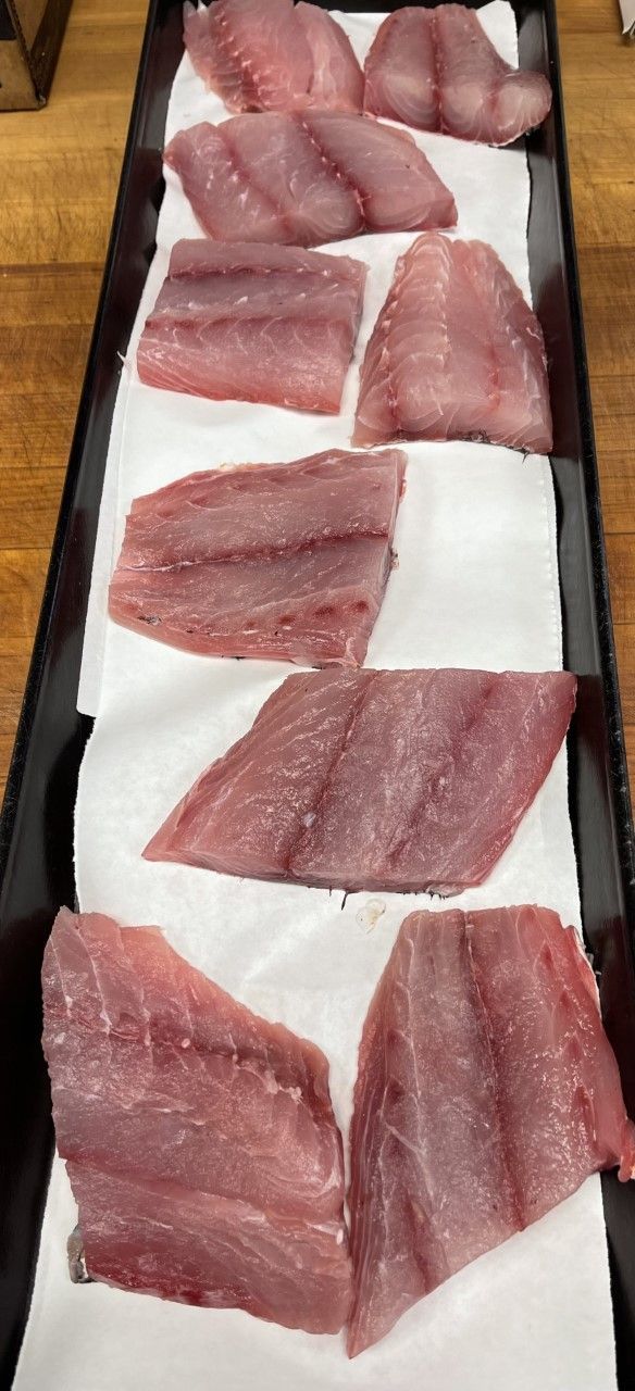 Lane snapper slices