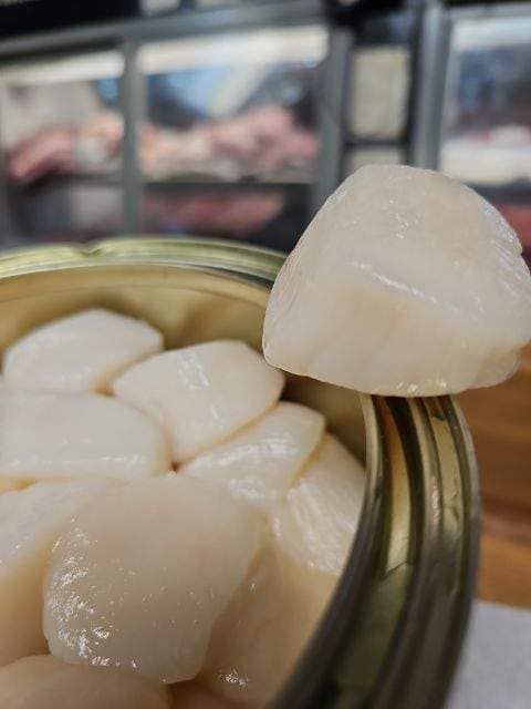 Close up of a scallop