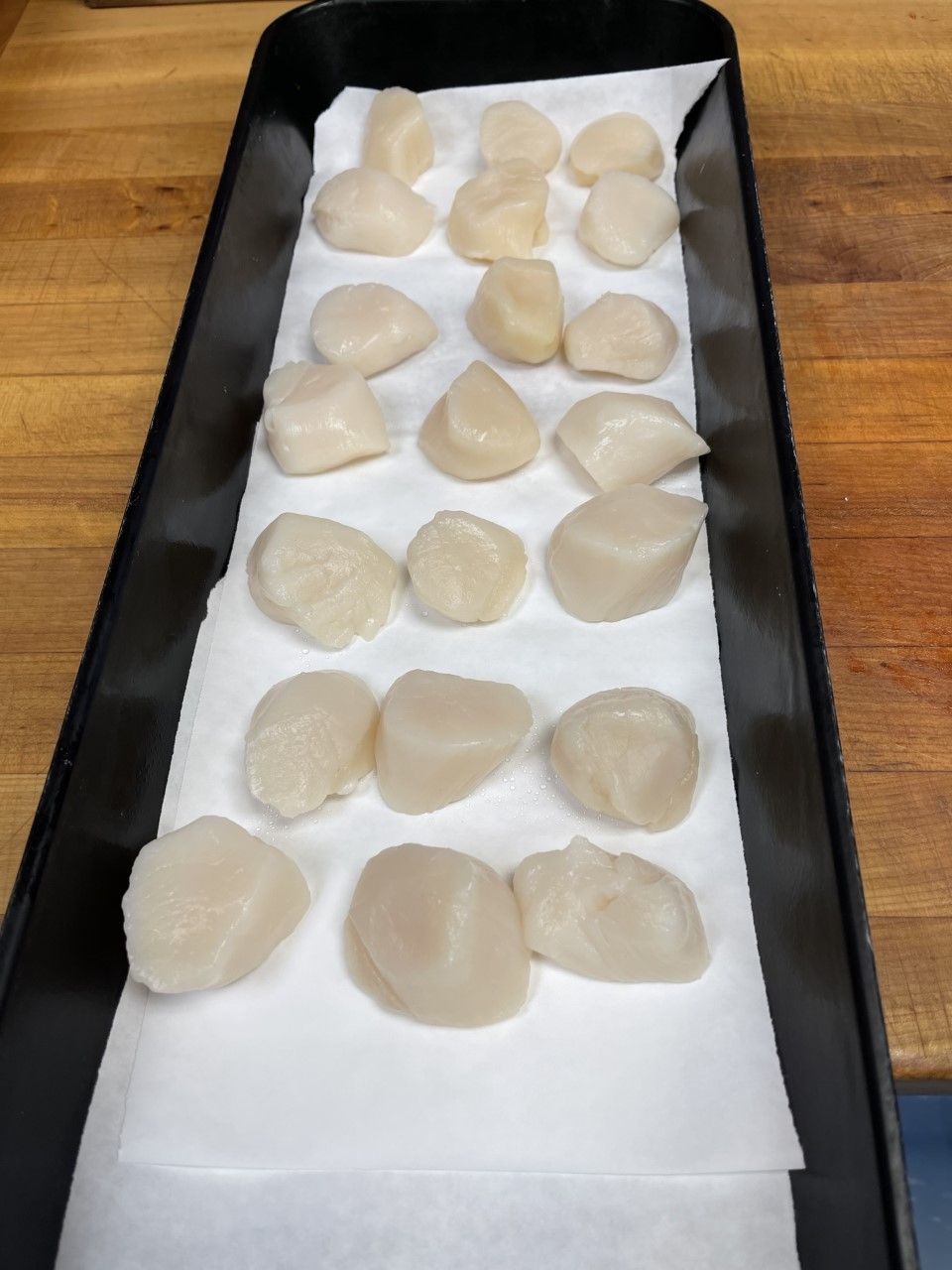 Scallops, pale, arranged on a paper-lined tray, ready for cooking