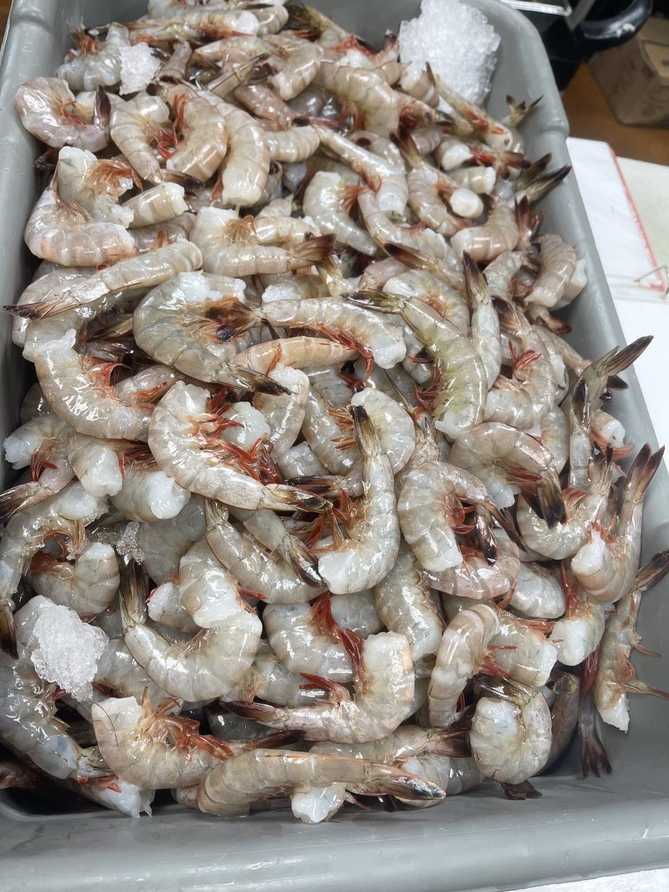 Pile of raw shrimp on ice