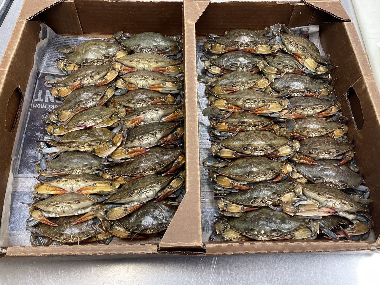 Soft shell crabs