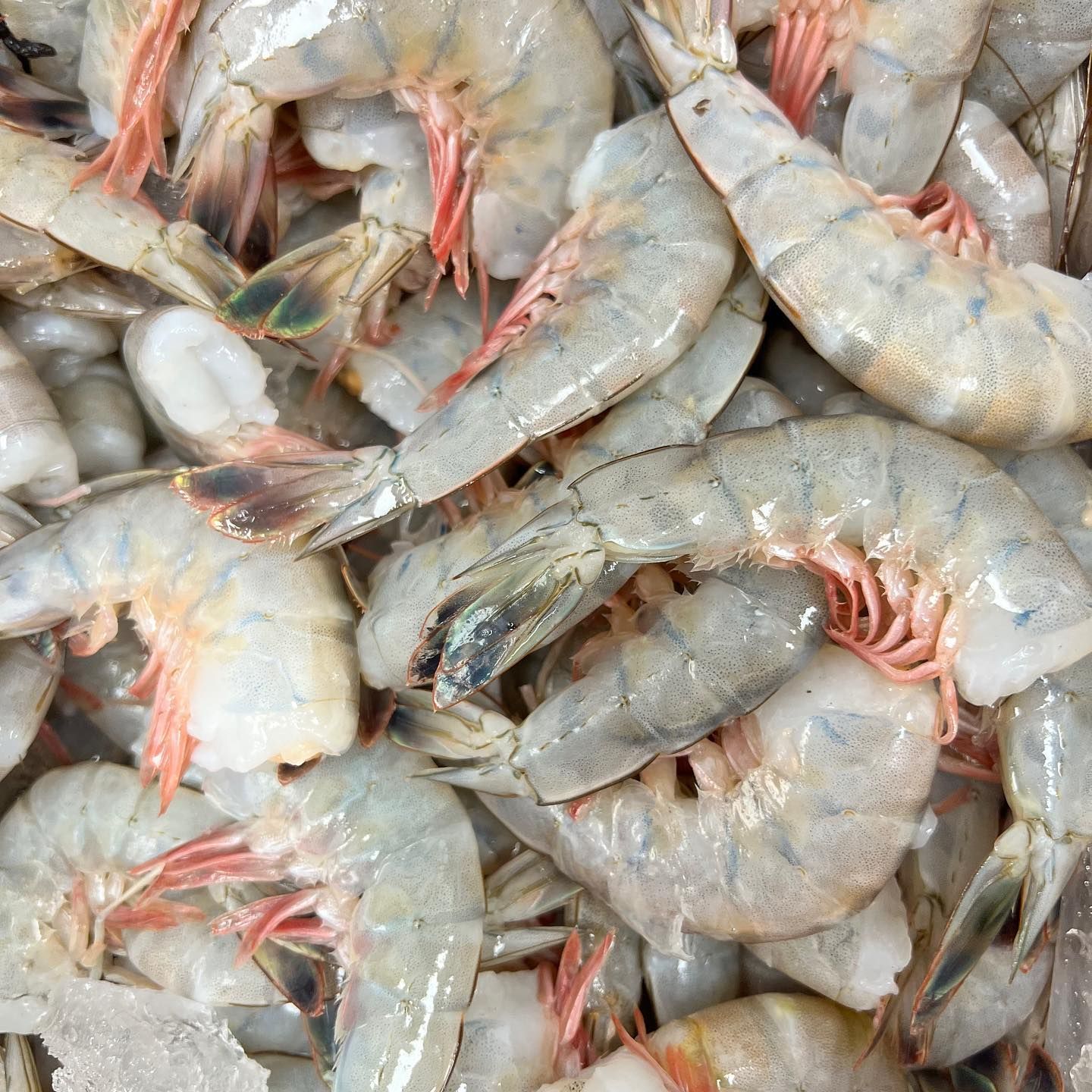 Raw shrimp, light gray with pink accents, close-up view.