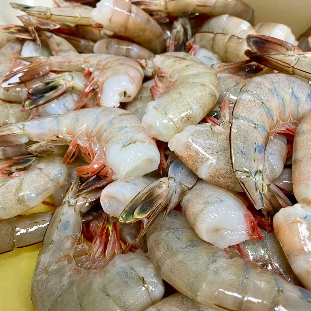 Raw shrimp, close-up, pale pink with reddish hues, ready to cook.