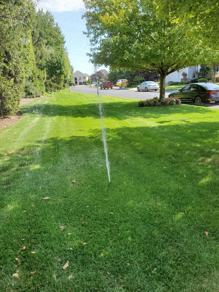 Irrigation sprinkler