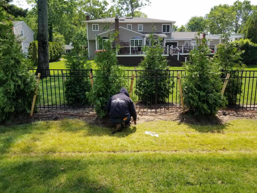 Beautiful lawn