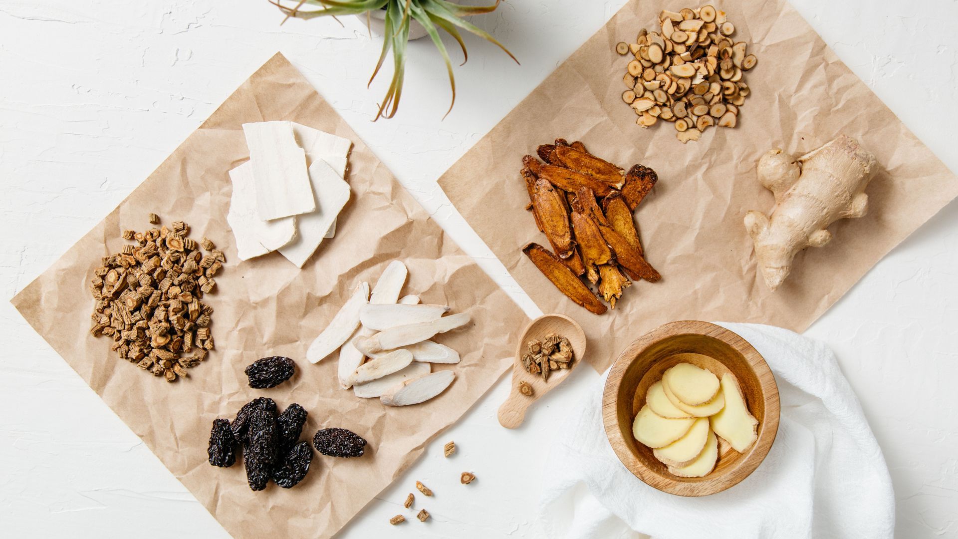 functional medicine