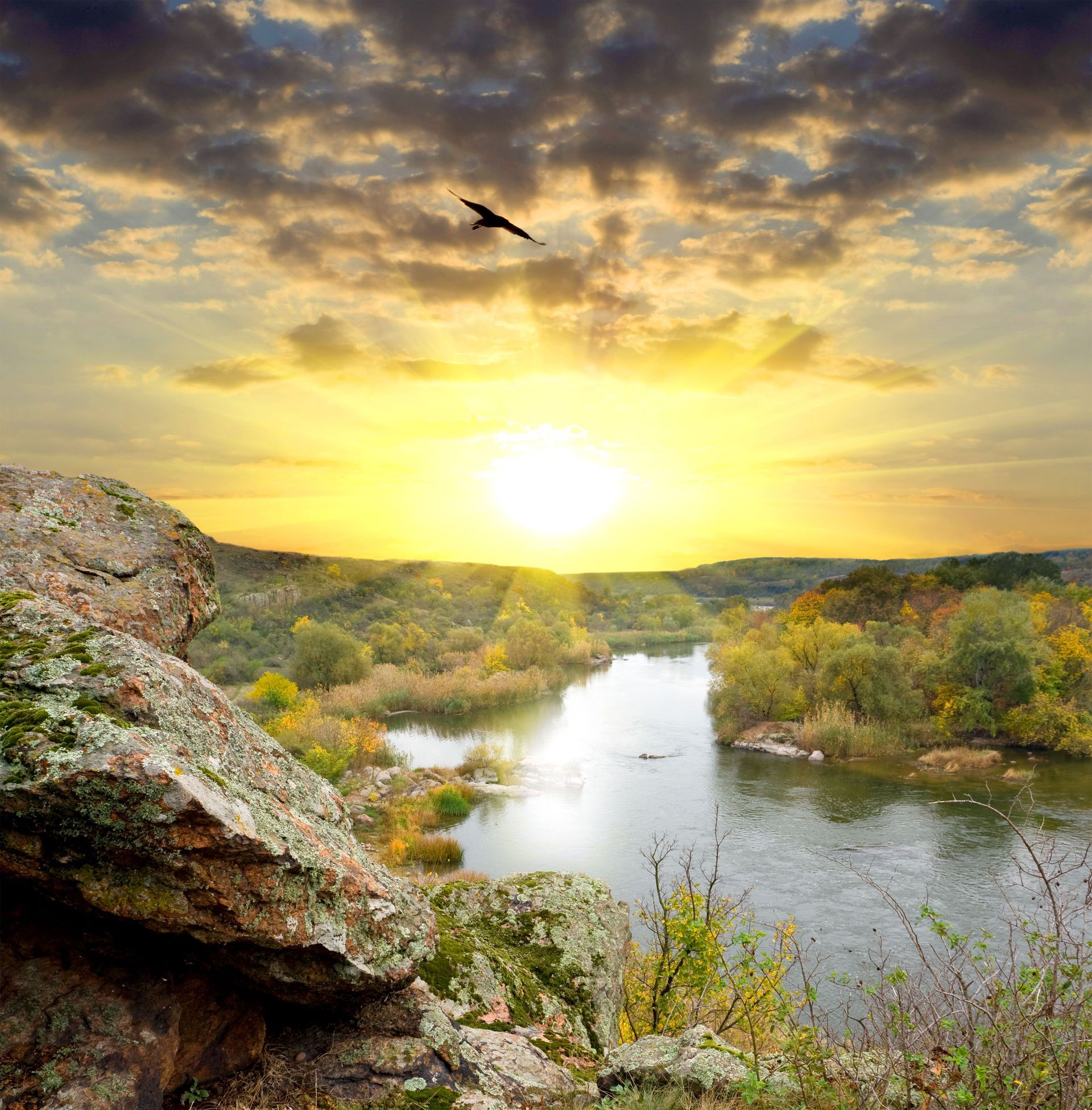 functional medicine services
