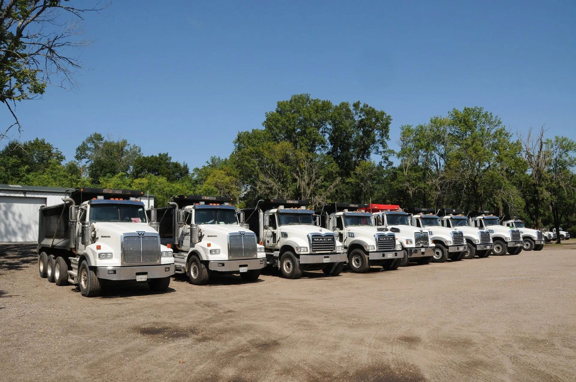 Row of white dump trucks parked on a gravel lot under a clear blue sky