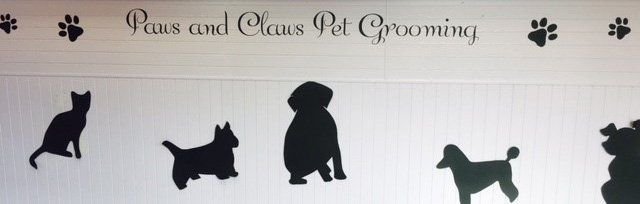 dog grooming faqs