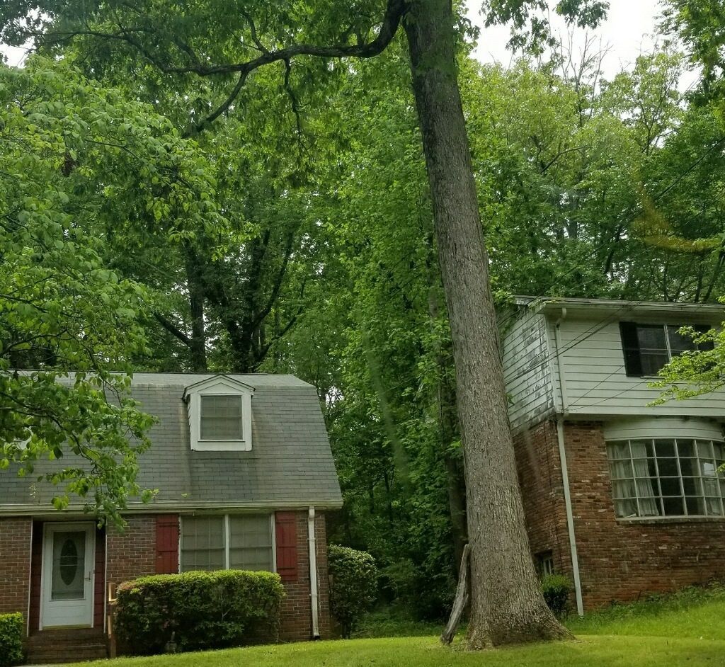 A house with a tree in front of it