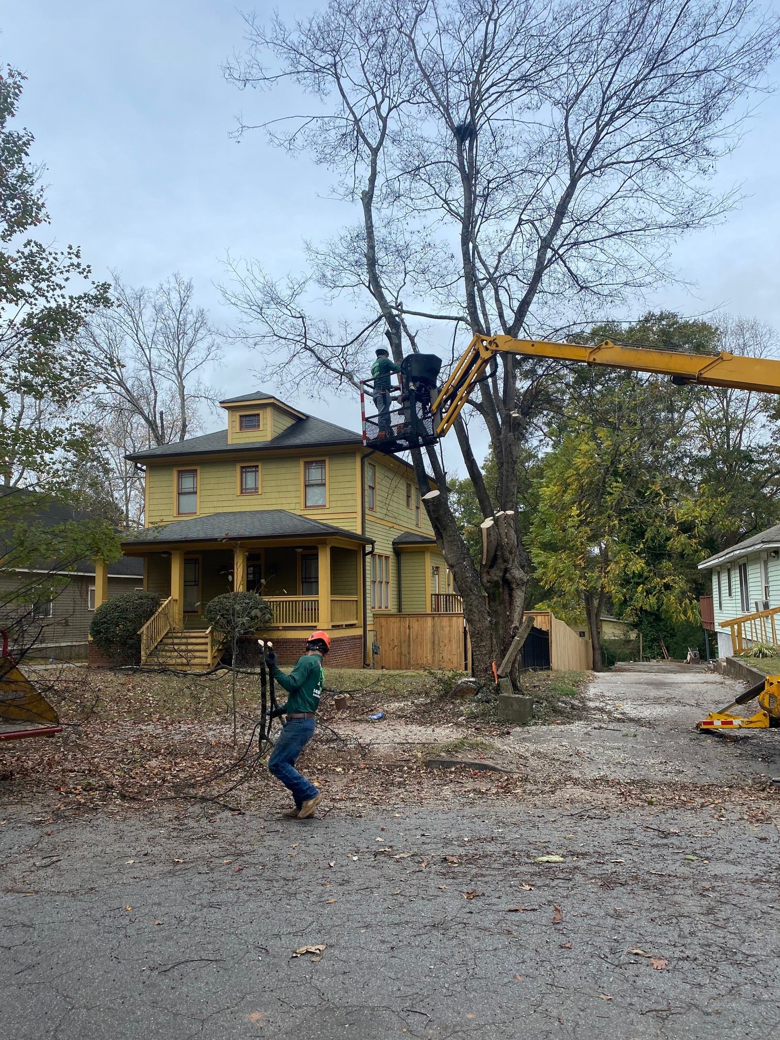 A man is standing in front of a house while a tree is being cut down.