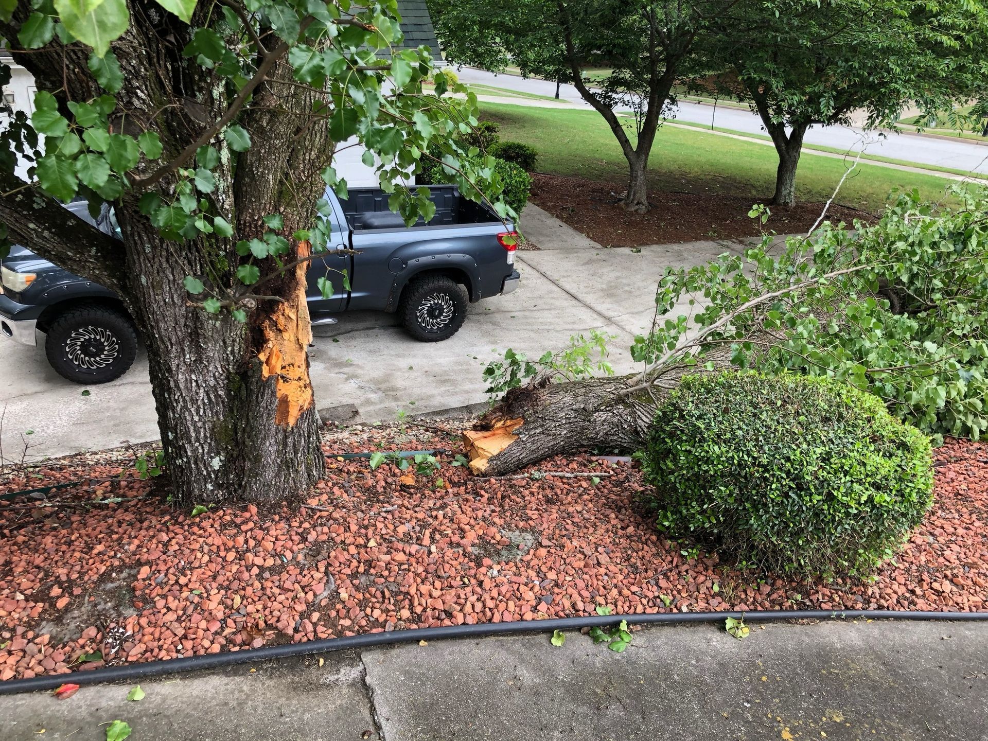 A truck is parked in a driveway next to a tree that has fallen.