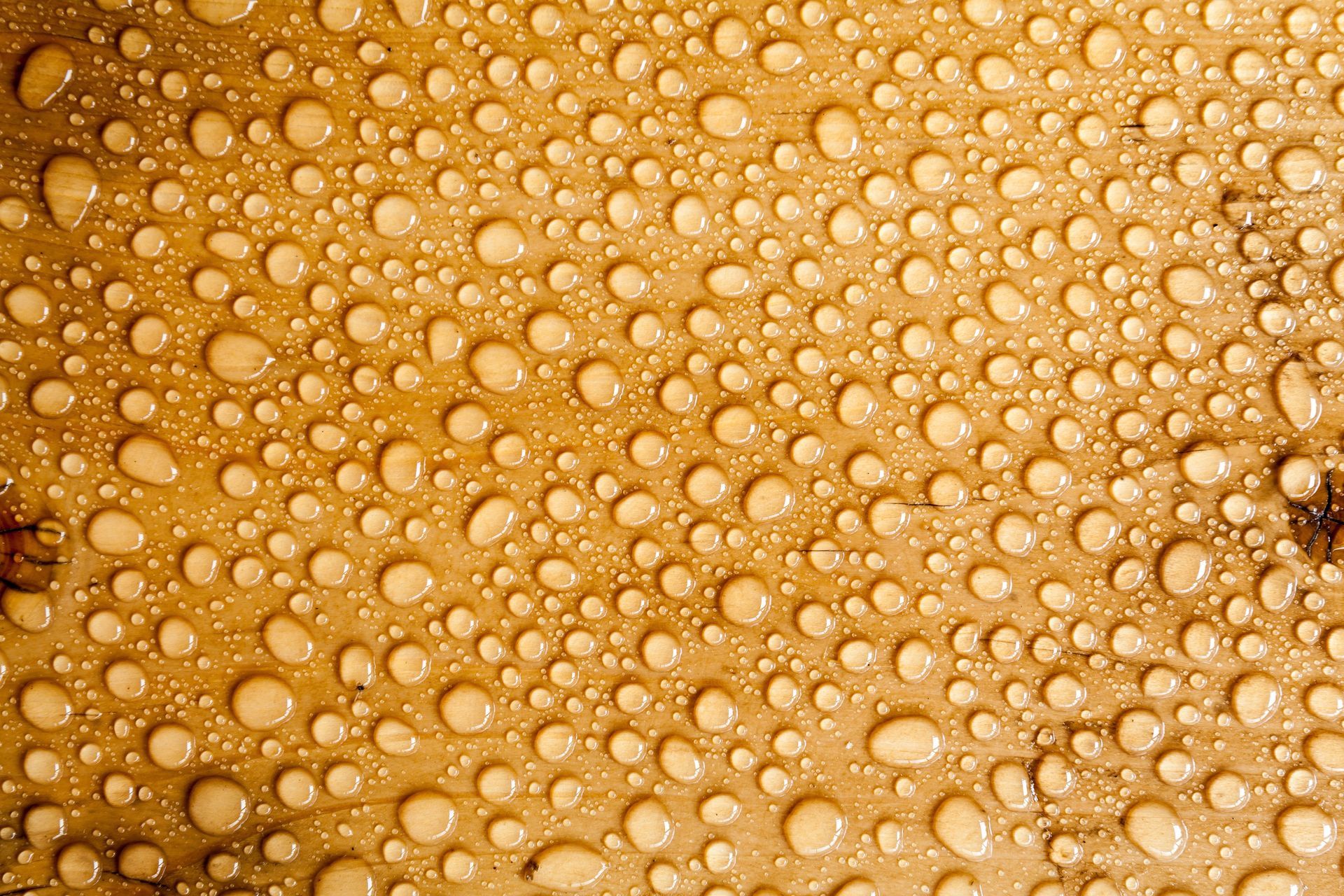 basement waterproofing