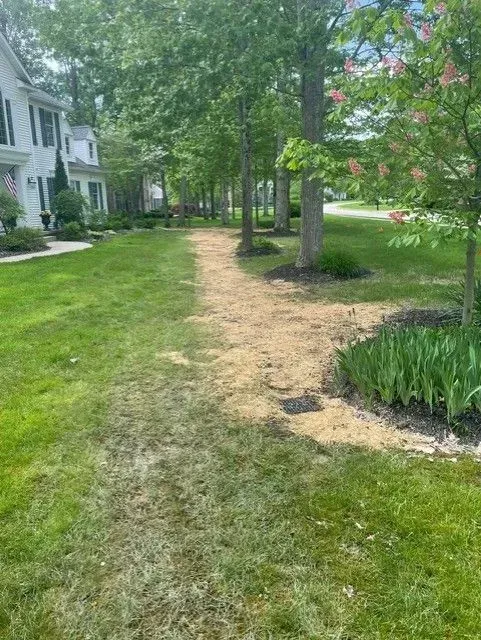 Grassy yard with a dirt path in the middle lined by trees. Houses and flowers are visible.