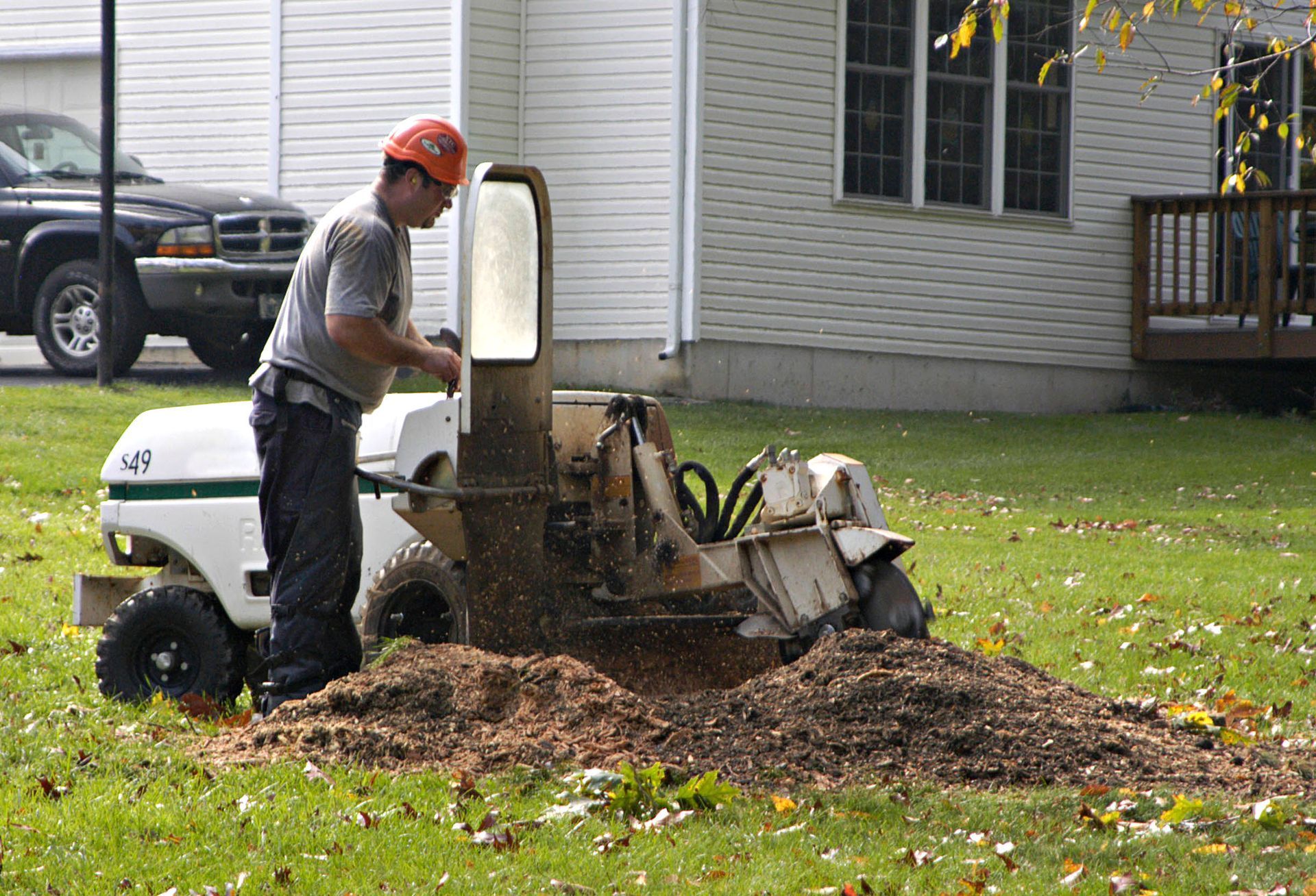 Worker operating a stump grinder beside a house, with wood chips piled on the lawn.