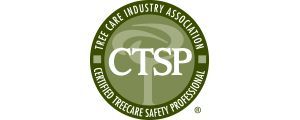 CTSP logo in green and white, with The Core Industry Association and Certified Recharge Safety Professional text.