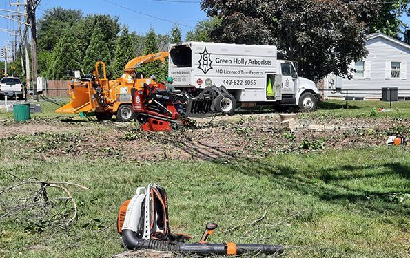 Tree-service truck and equipment in a grassy yard, with cut branches and a backpack blower in the foreground