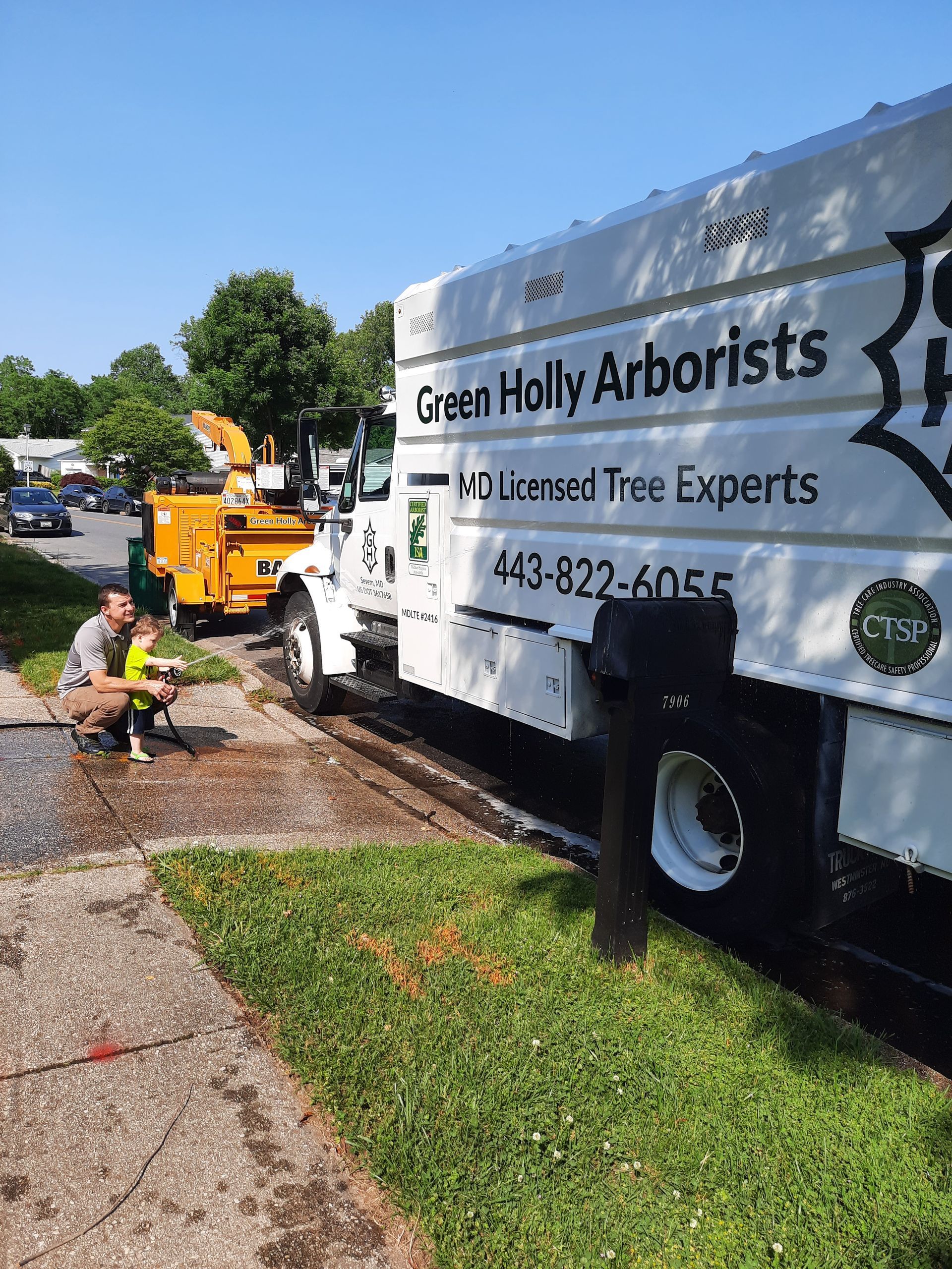 Green Holly Arborists truck beside a tree crew trimming a stump on a suburban street