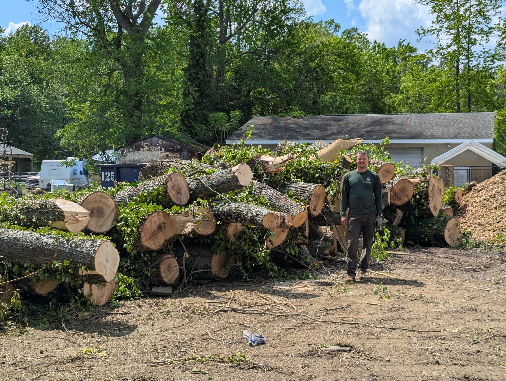 Person standing by stacked logs in a wooded yard near houses