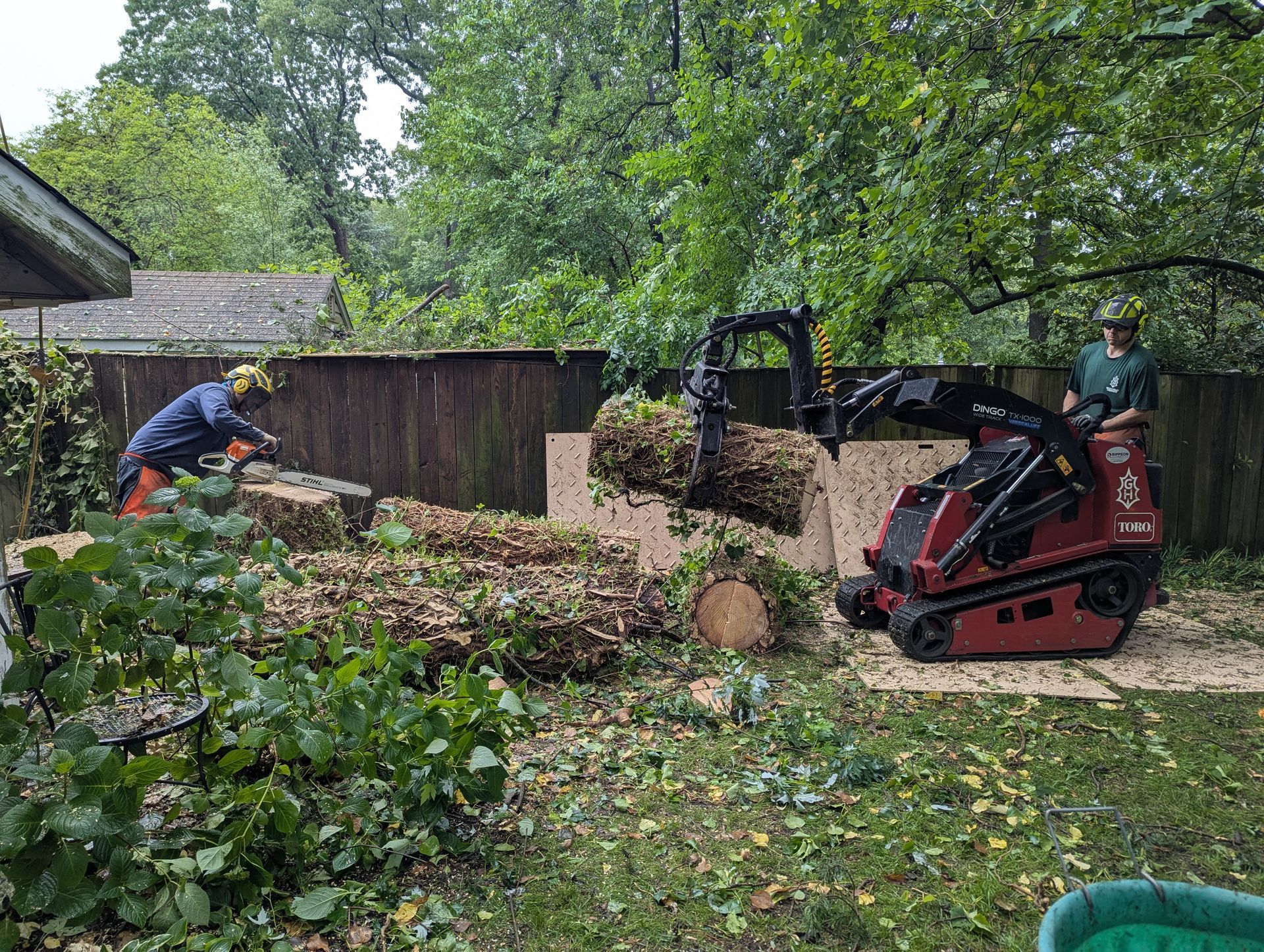 Two workers with a red wood chipper clear tree branches in a backyard.