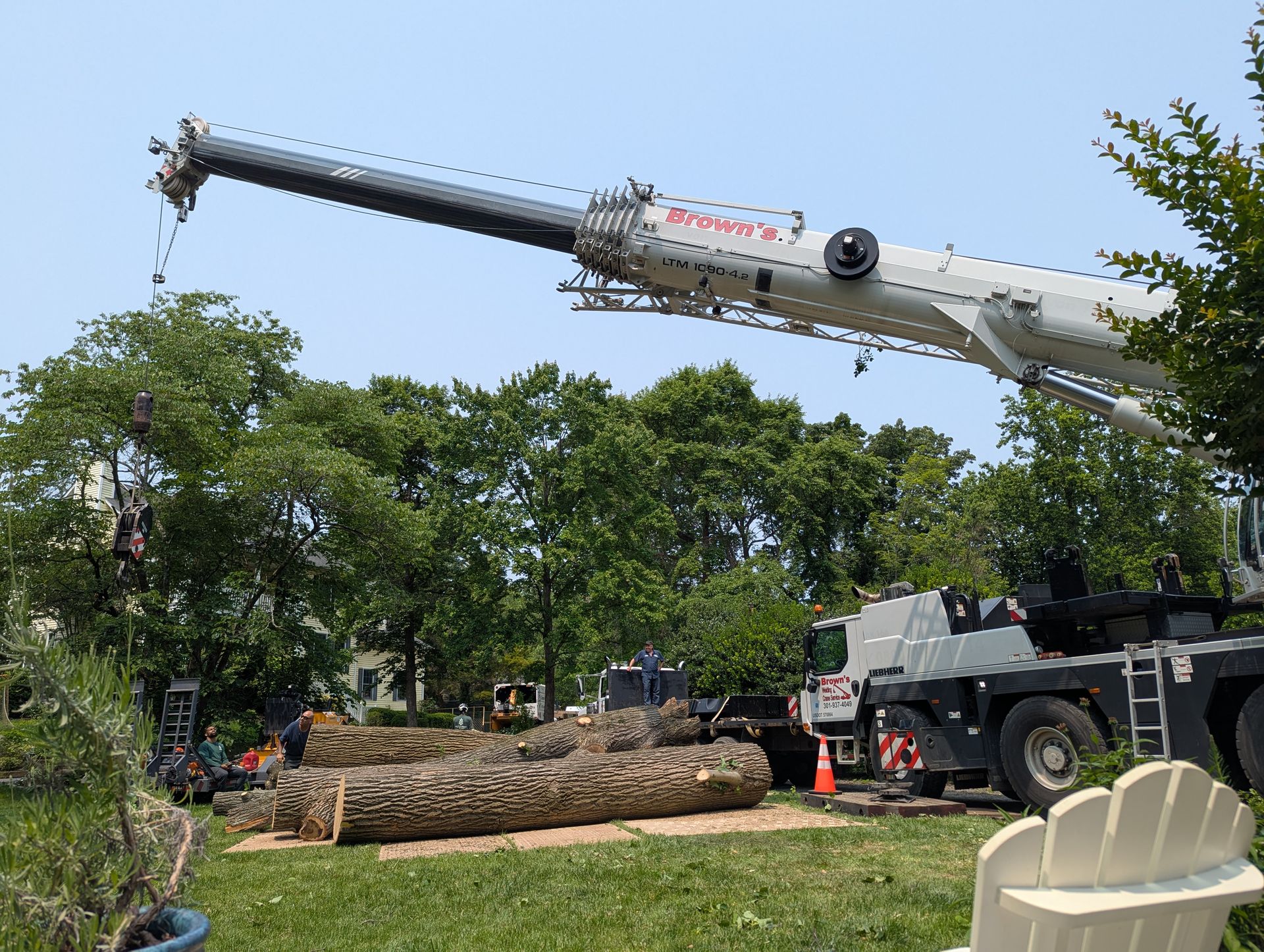 Crane lifting a large tree trunk over a grassy park with workers and an orange cone nearby