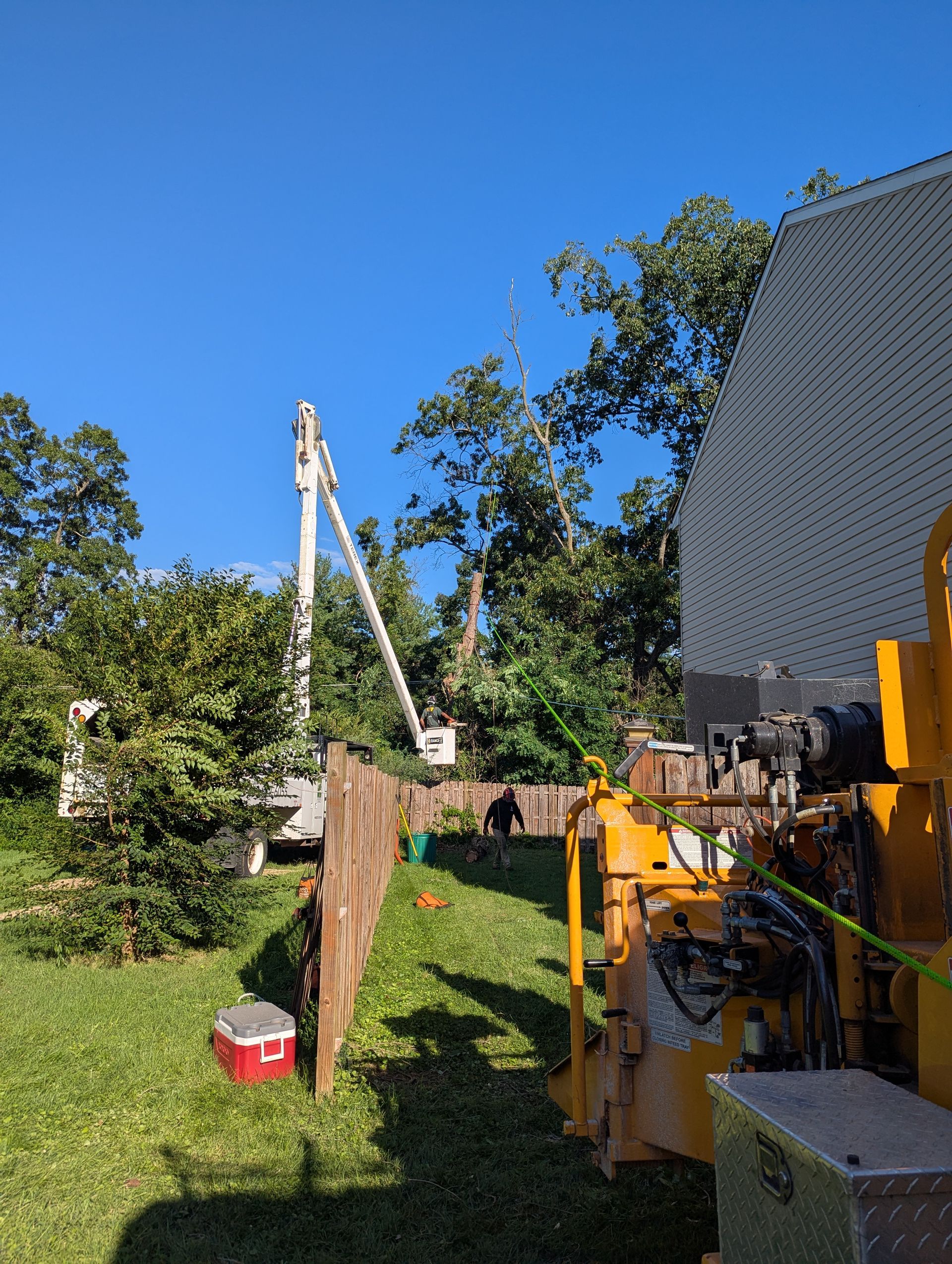 Outdoor construction site with yellow machinery, a tall crane, and trees under a clear blue sky