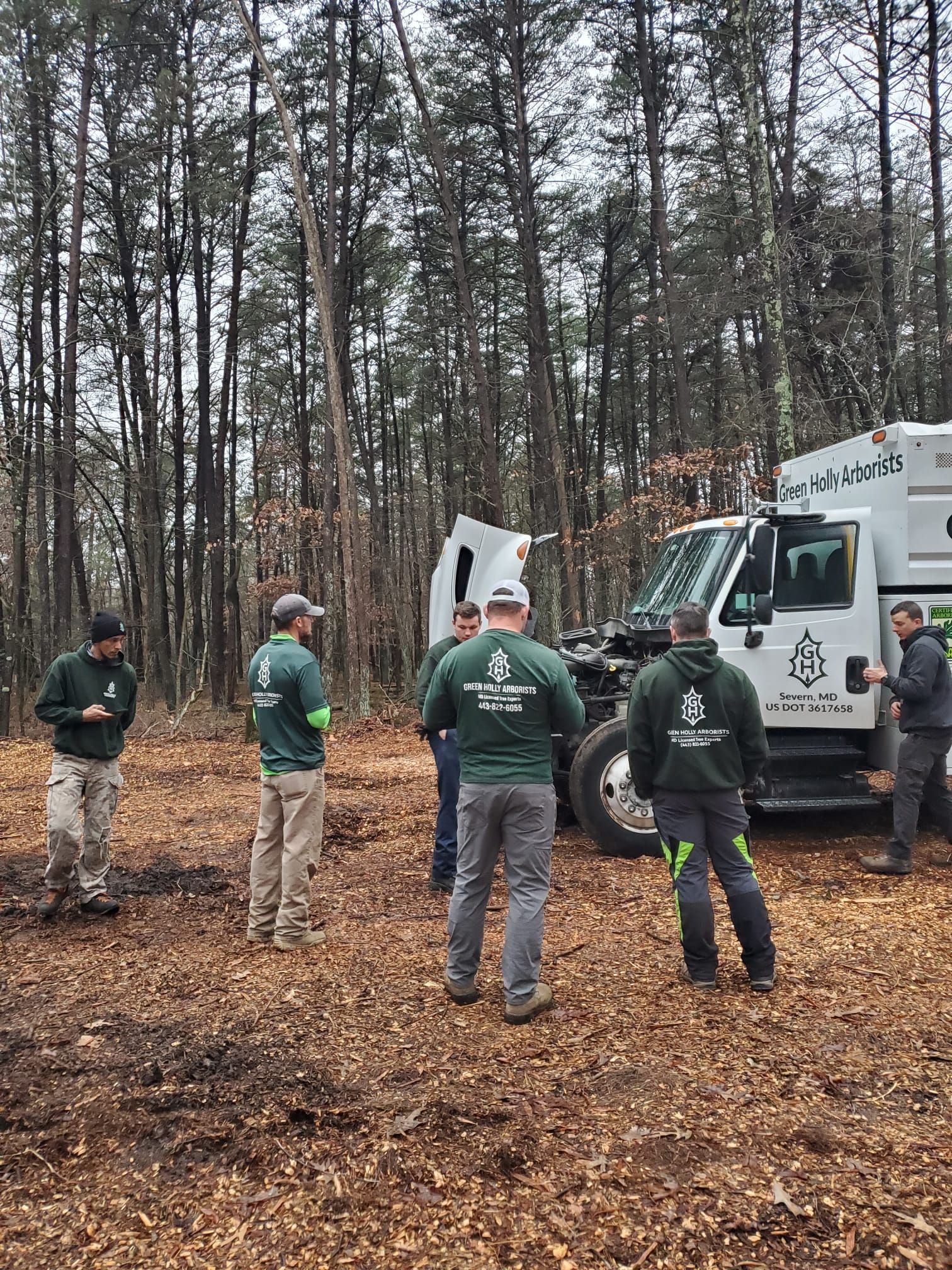 Five workers in green jackets stand by a utility truck in a muddy forest clearing.