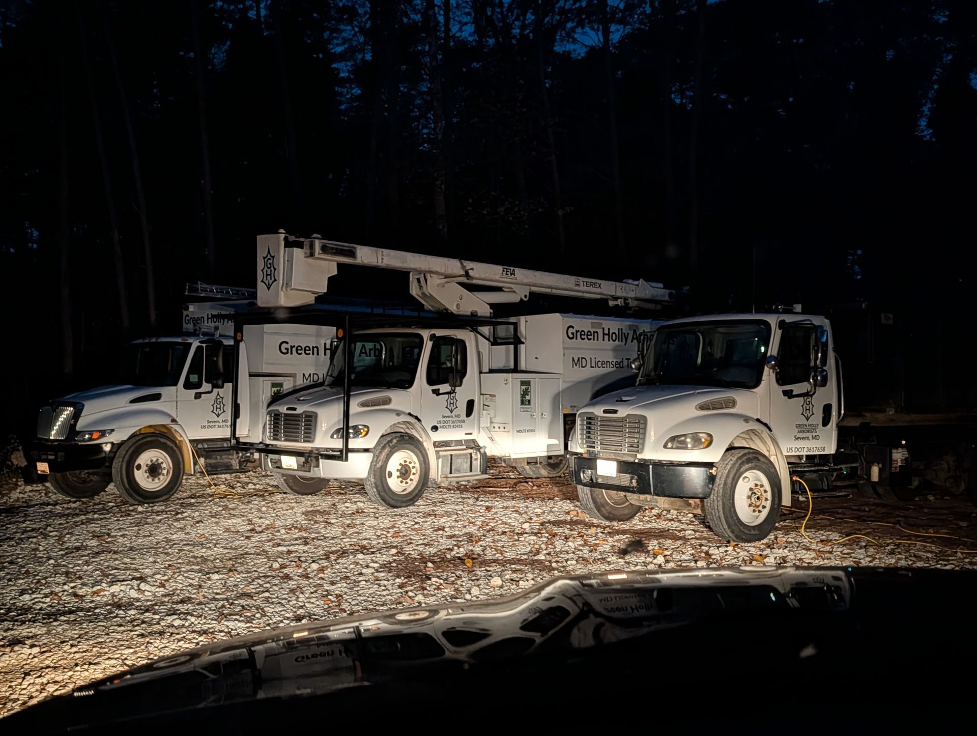 Three white utility bucket trucks parked in a dark wooded area at night