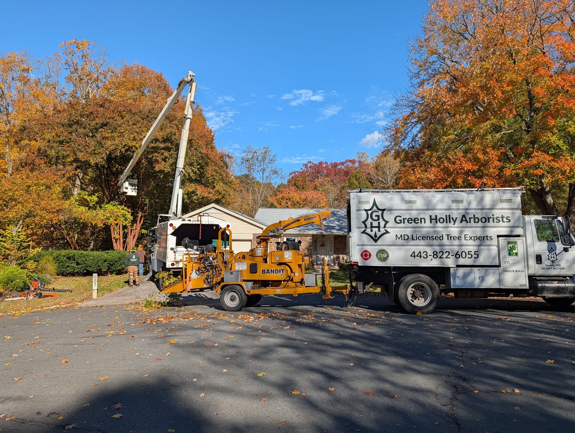 Utility crew clearing trees beside a truck-mounted lift amid autumn foliage