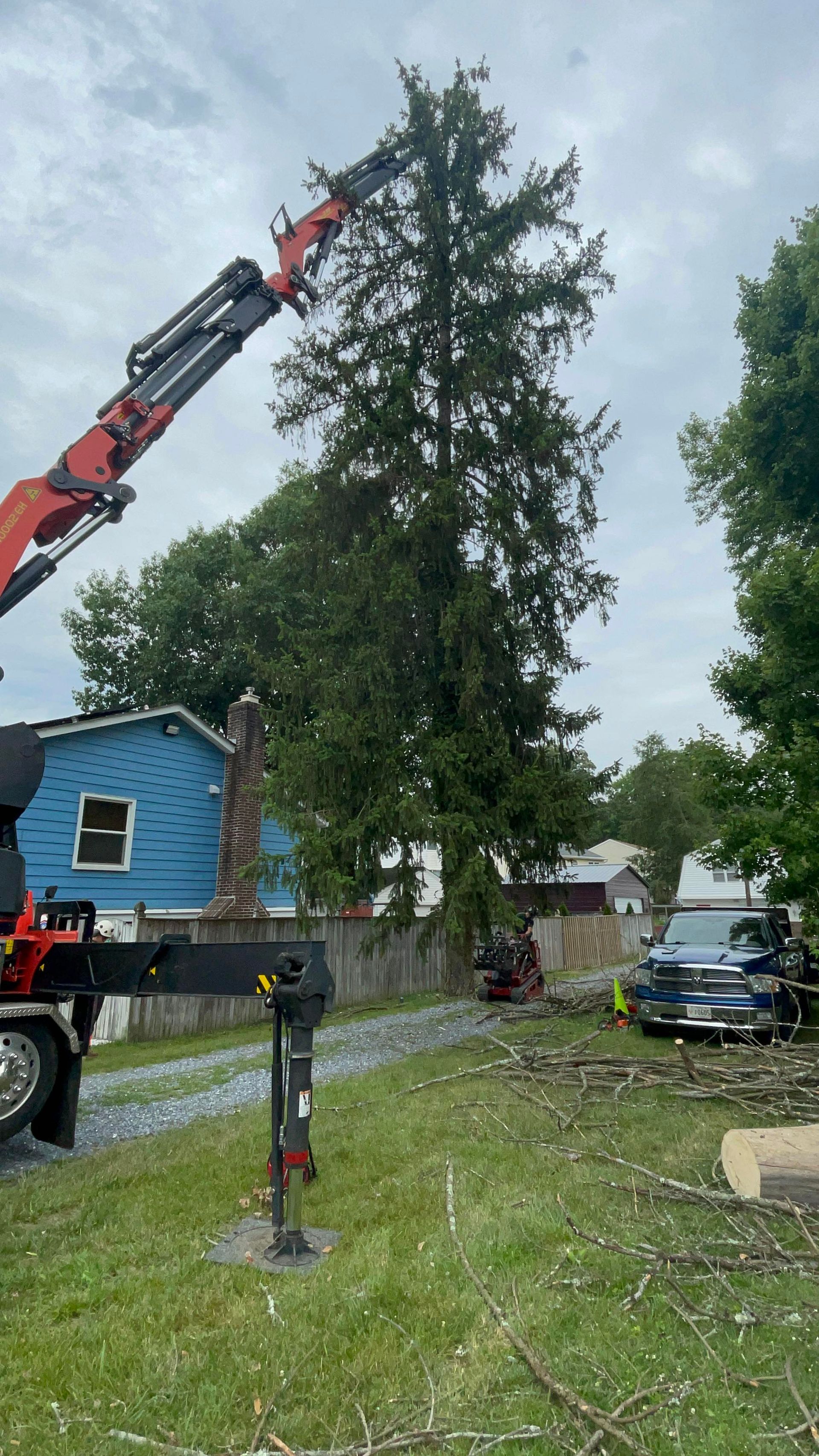 Crane truck lifting a tall tree beside a blue house in a residential yard