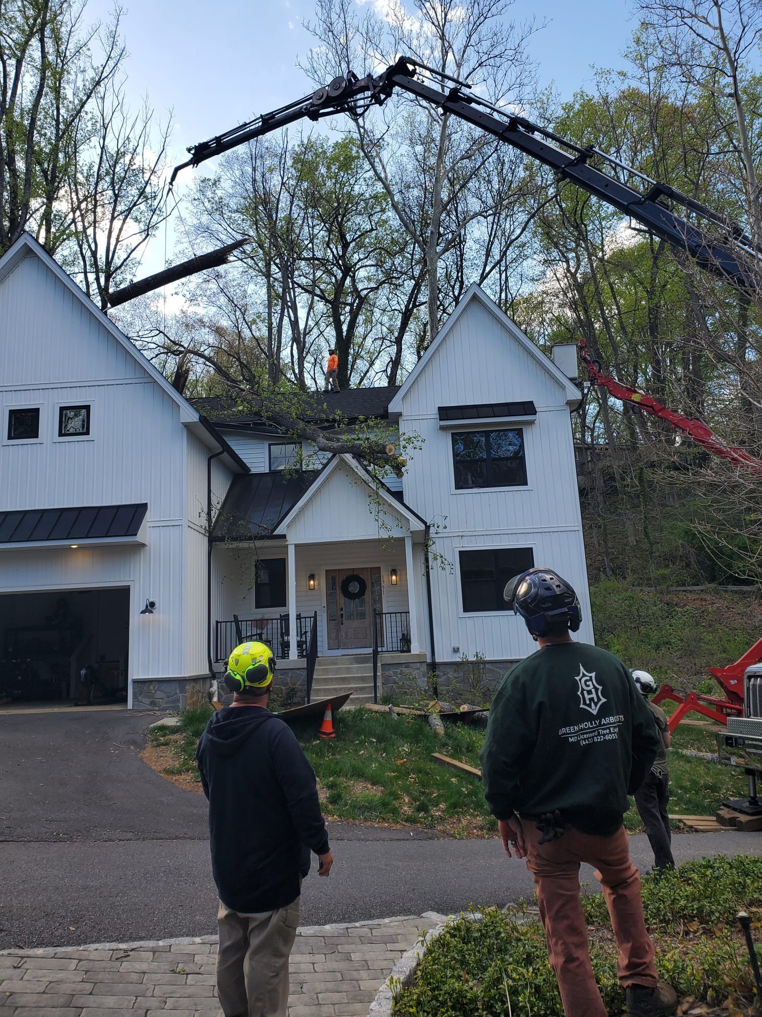 Workers operate cranes to remove a tree above a white house in a wooded yard.