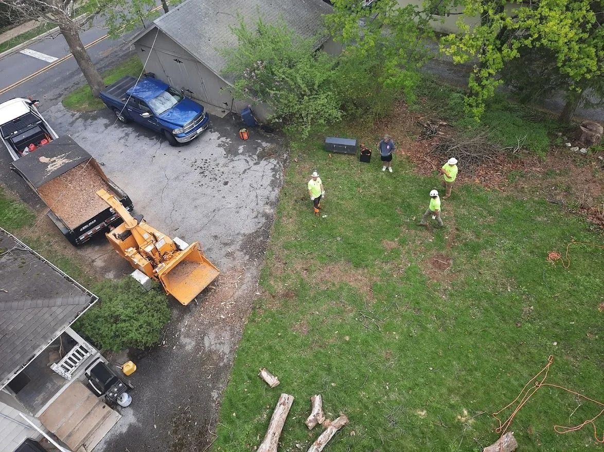 Aerial view of workers near a blue truck and orange machinery beside a grassy yard and trees.