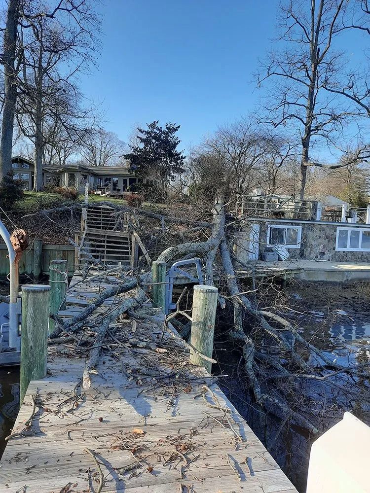 Wooden dock leading to a damaged shoreline with fallen tree branches and a house in the background