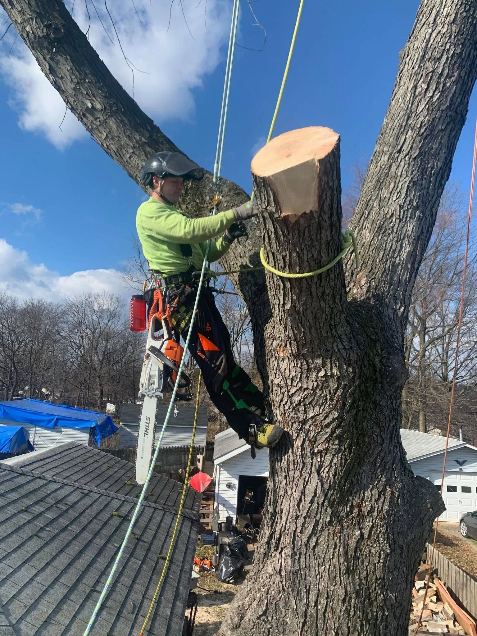 Worker in green jacket and harness climbing a tree with ropes on a rooftop under blue sky