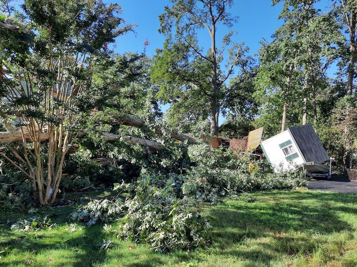 Tilted white shed in a sunlit backyard with trees, shrubs, and green grass after storm damage