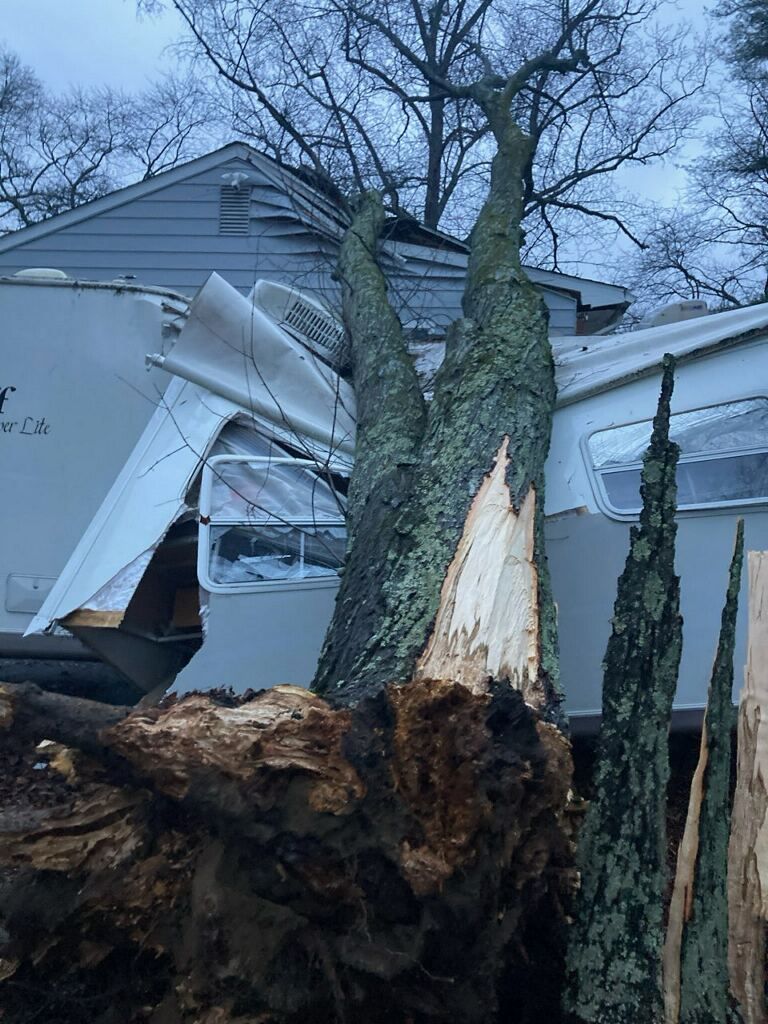 Uprooted tree split from wind damage, leaning against a house with torn siding in winter.
