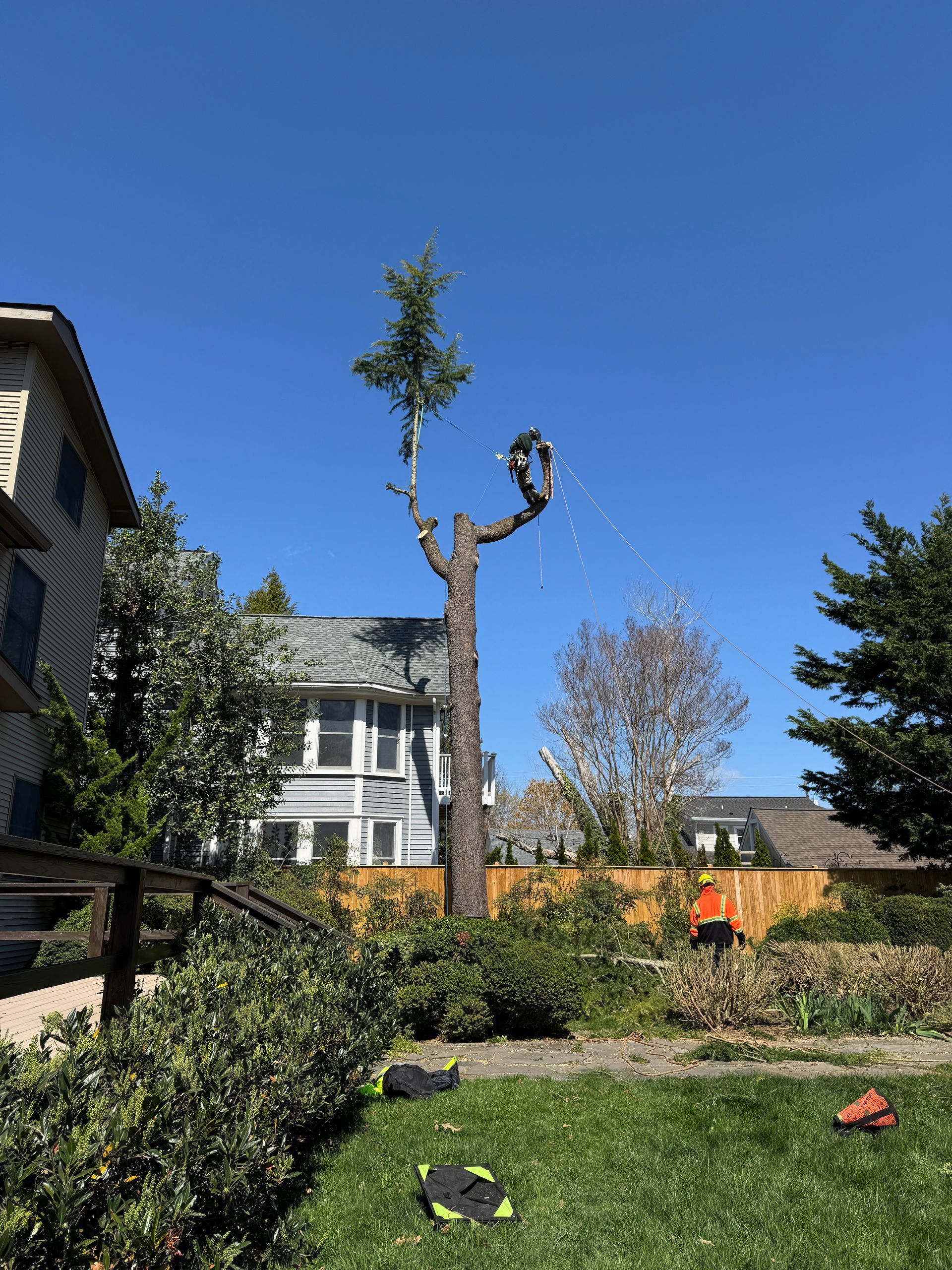 Manicured garden with a trimmed tree, houses, and two people in orange jackets under a clear blue sky