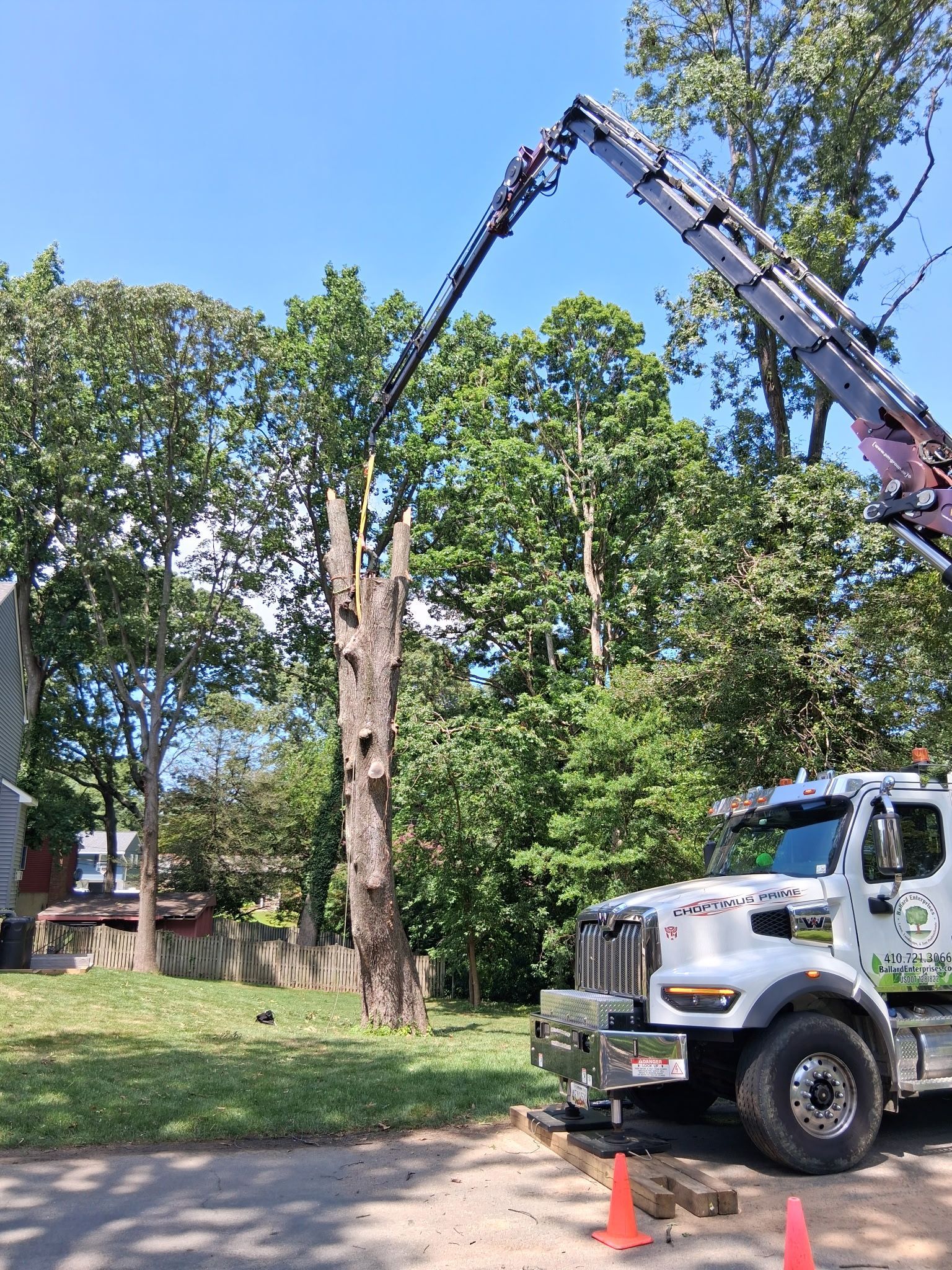 Tree removal truck cutting a tall tree in a grassy yard under a clear blue sky.
