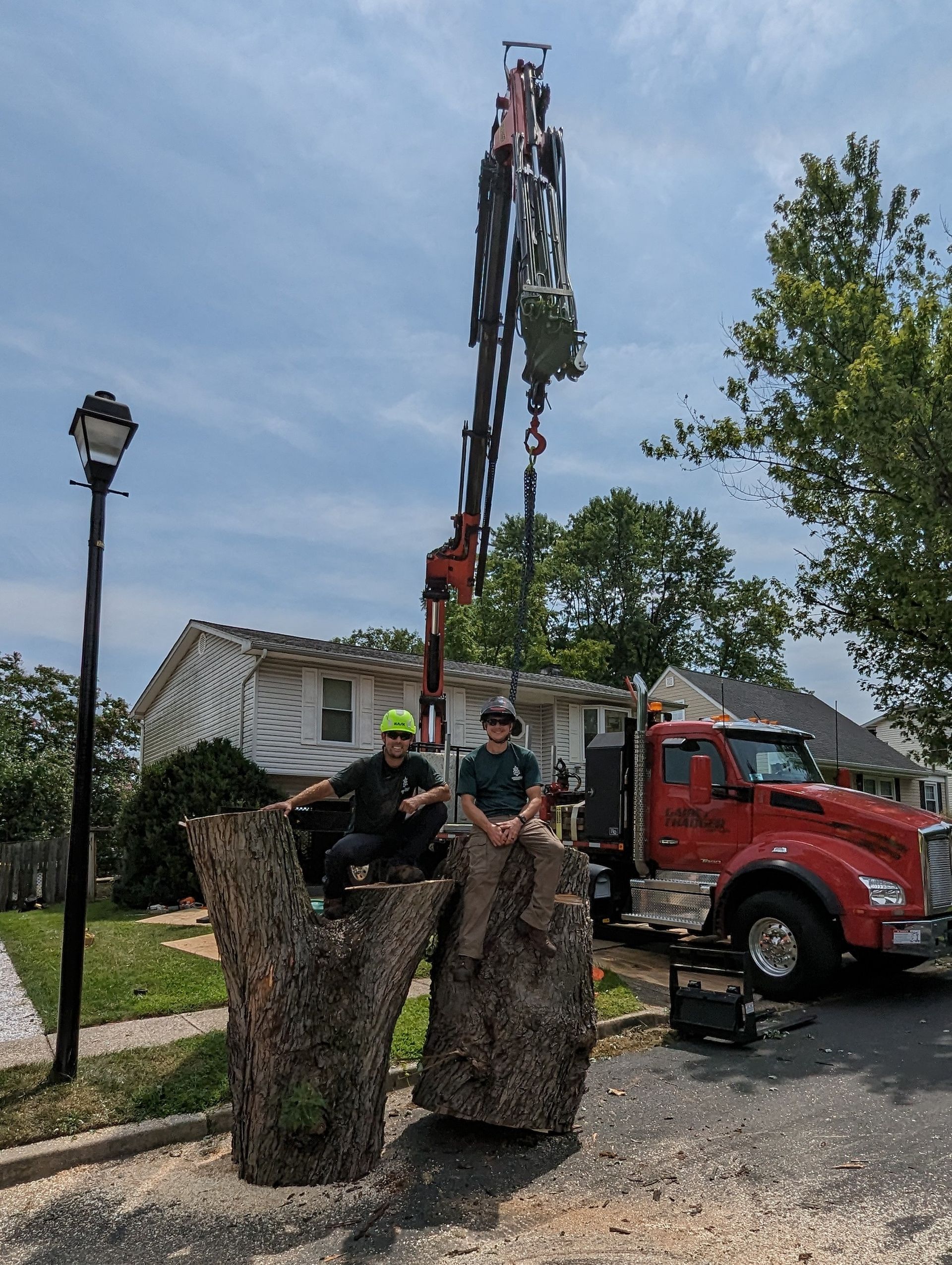 Two workers in stump grinders trim a tall tree beside a red truck in a suburban yard