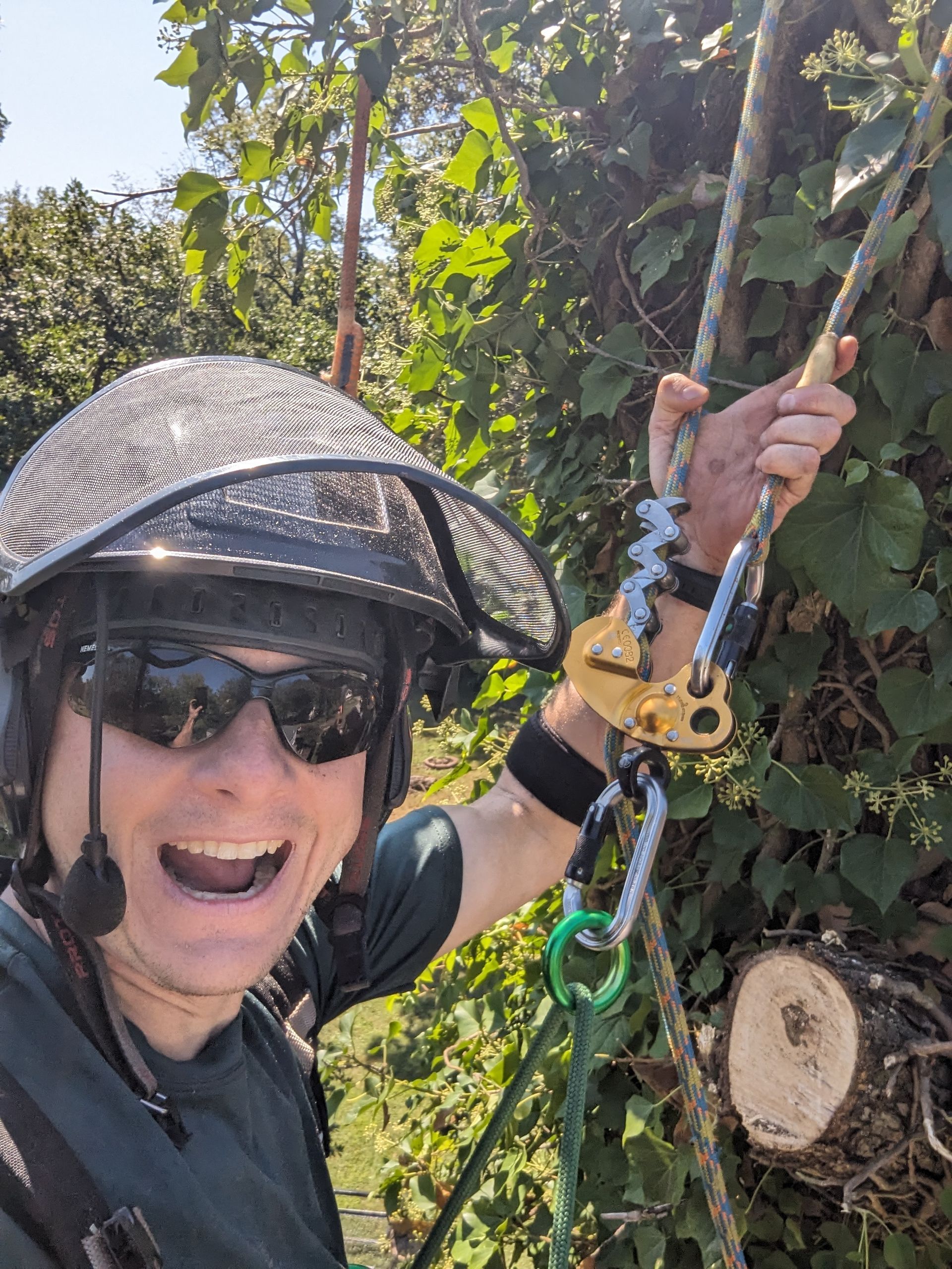 Smiling person in sun hat and sunglasses holding a rope amid tree branches while tree climbing