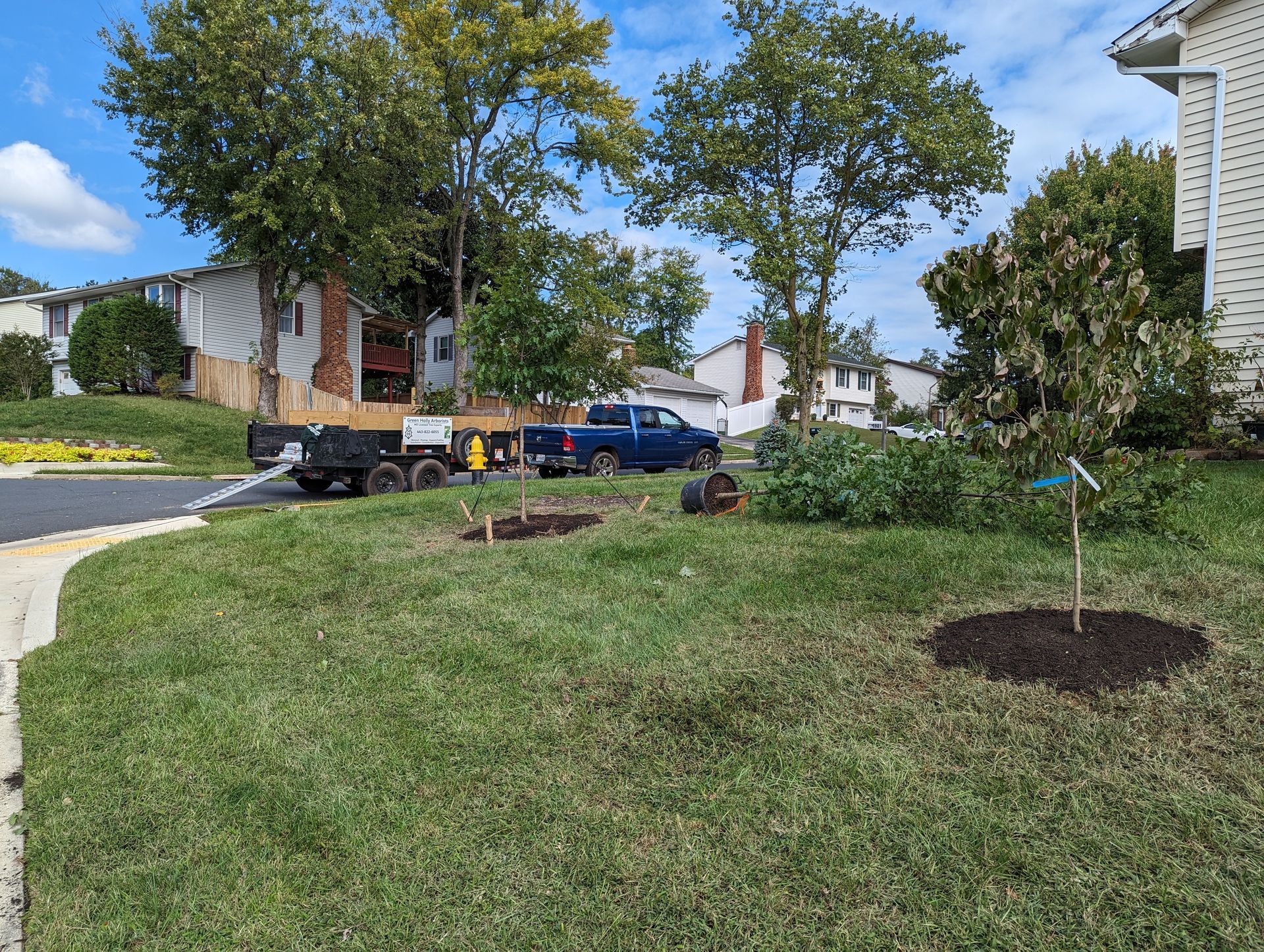 Suburban front yard with young trees, mulch rings, parked cars, and brick houses under a blue sky