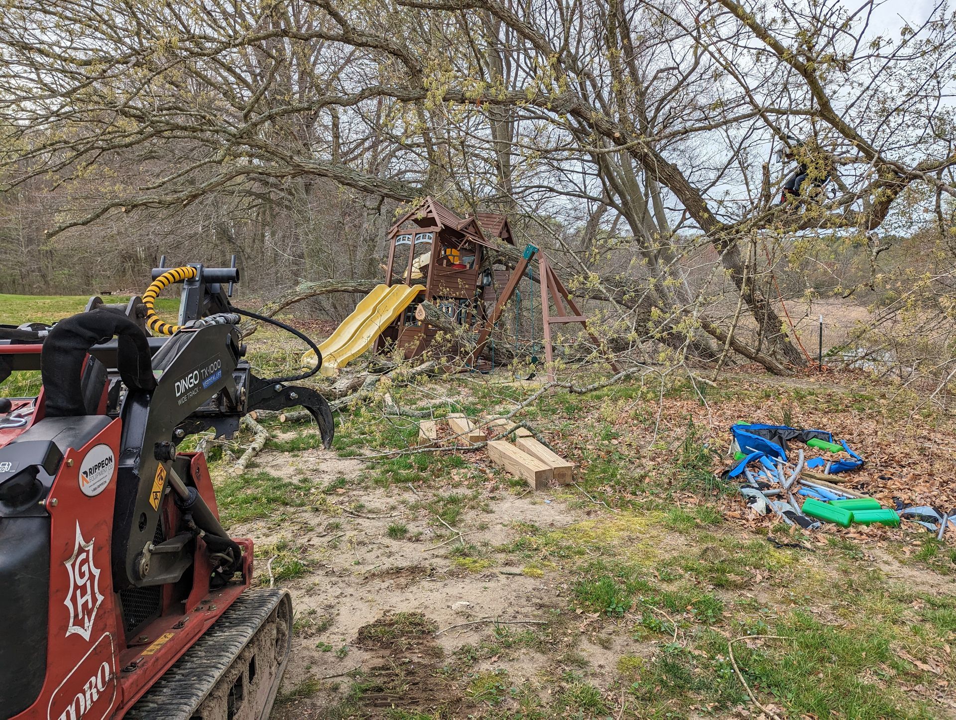 Red skid-steer loader in a yard with a woodpile, trees, and scattered debris nearby
