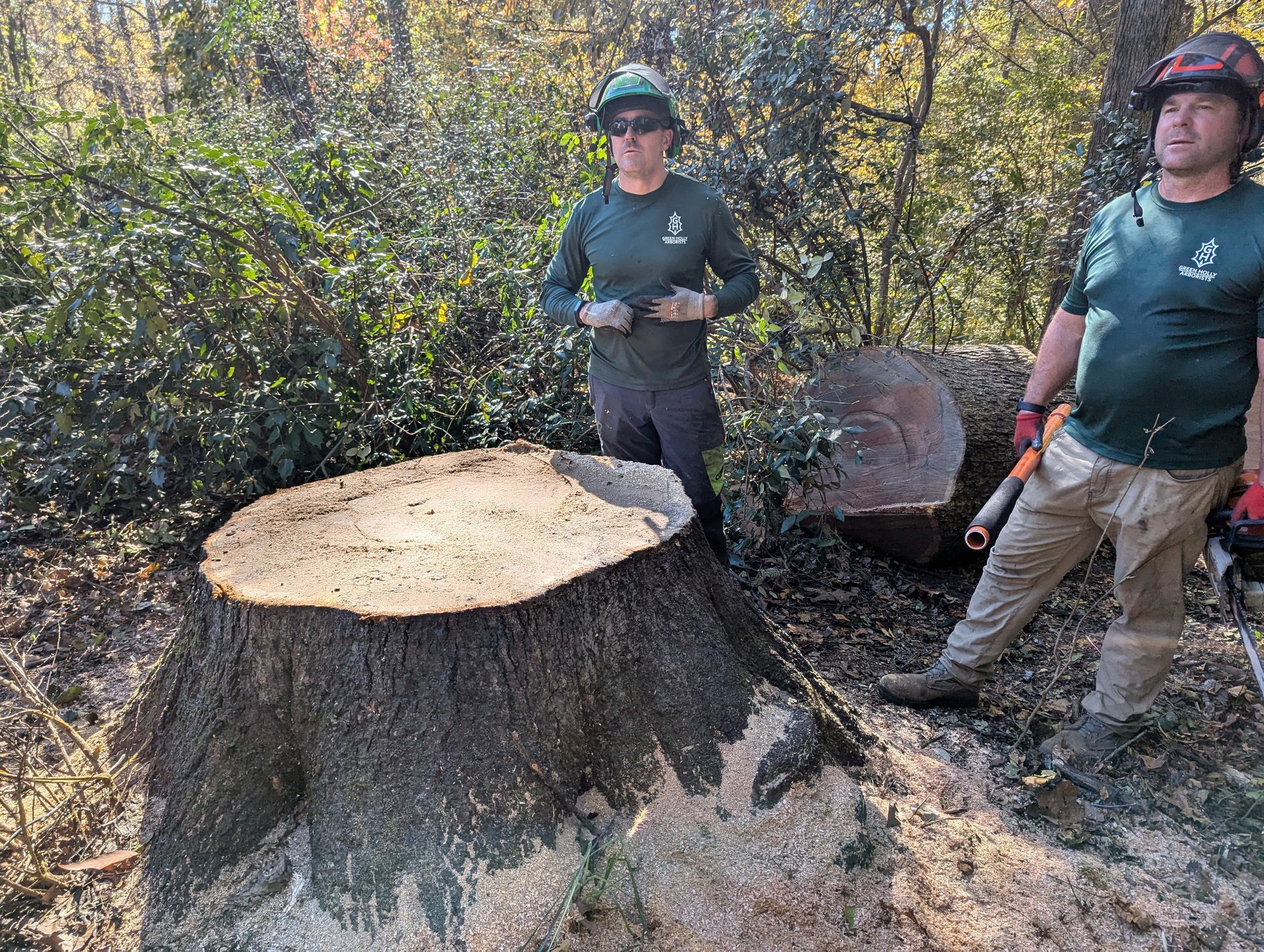Two workers in green shirts stand beside a freshly cut tree stump in a wooded area.