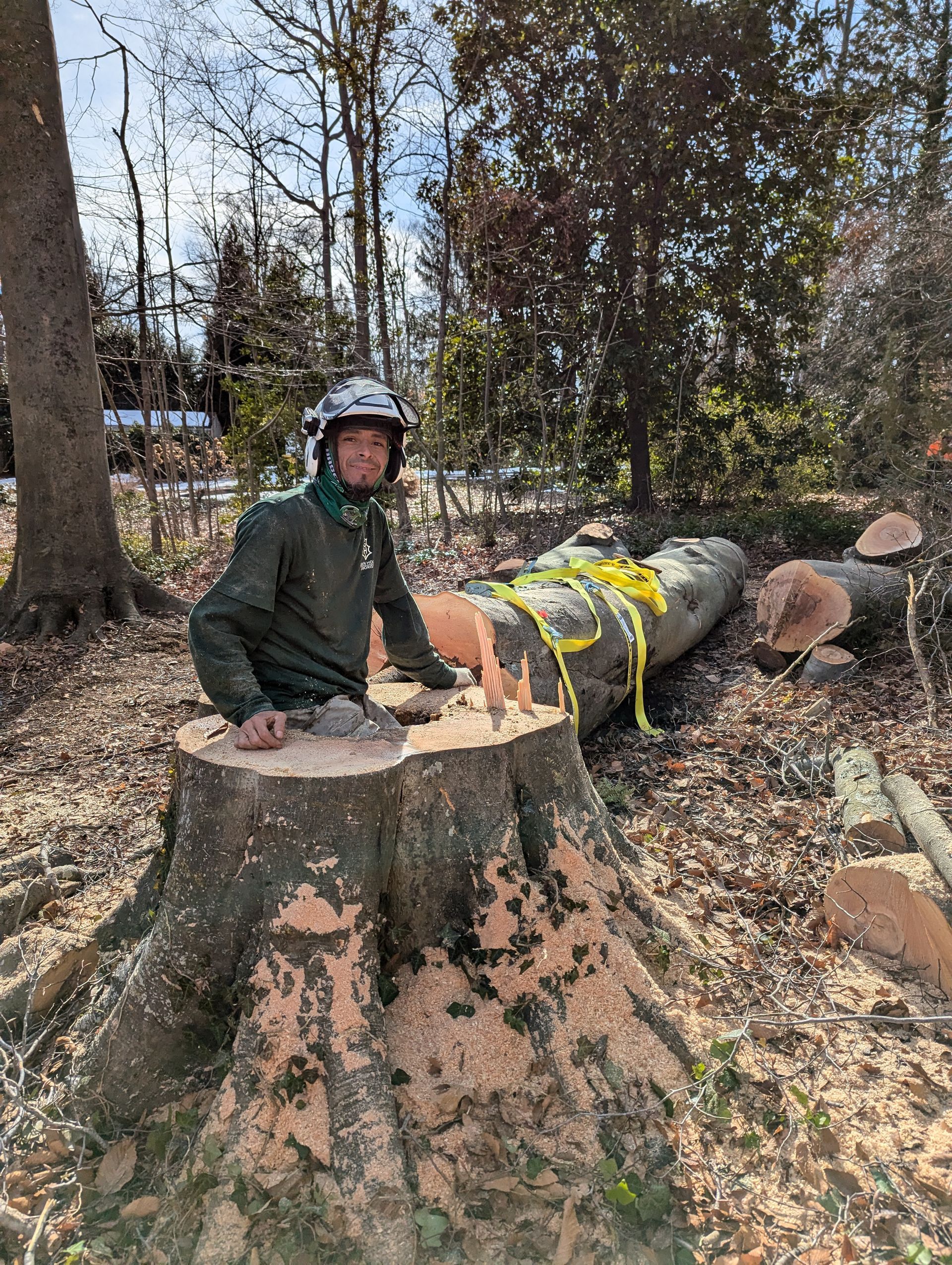 Person in a helmet sits on a large tree stump beside a cut log in a wooded area.