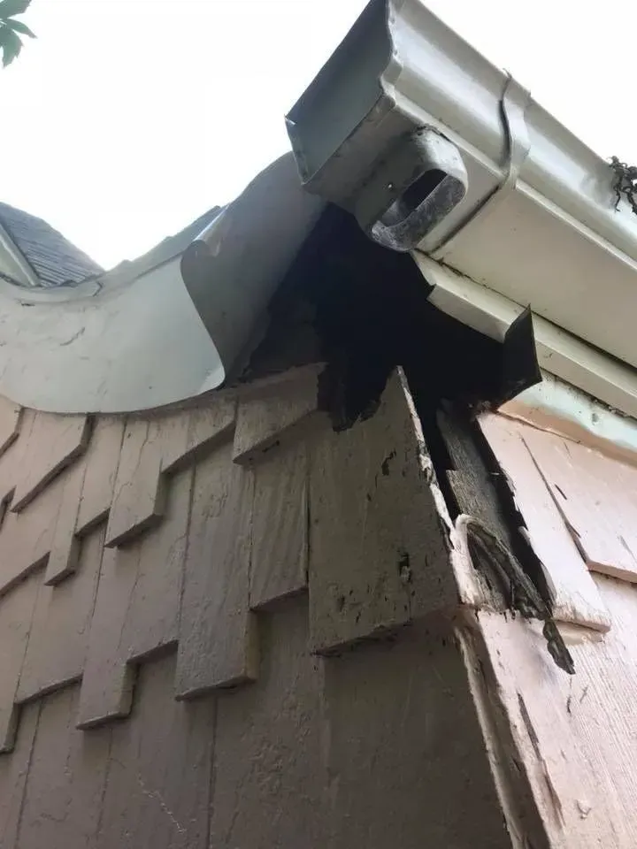 Damaged house corner with detached gutter and weathered shingles.