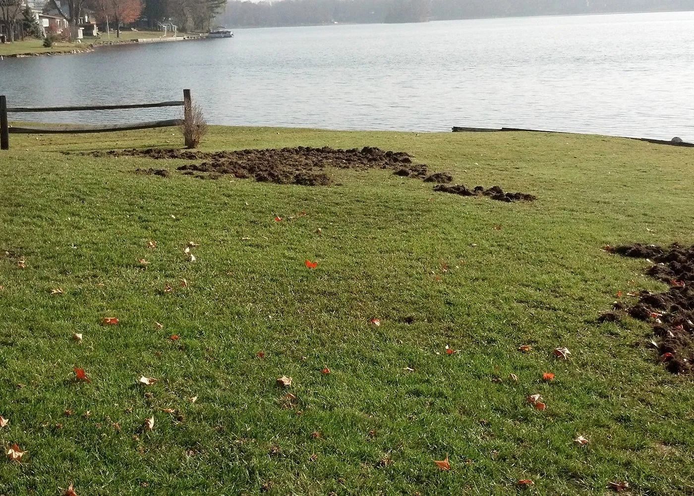 Aaron's Nuisance Animal Control