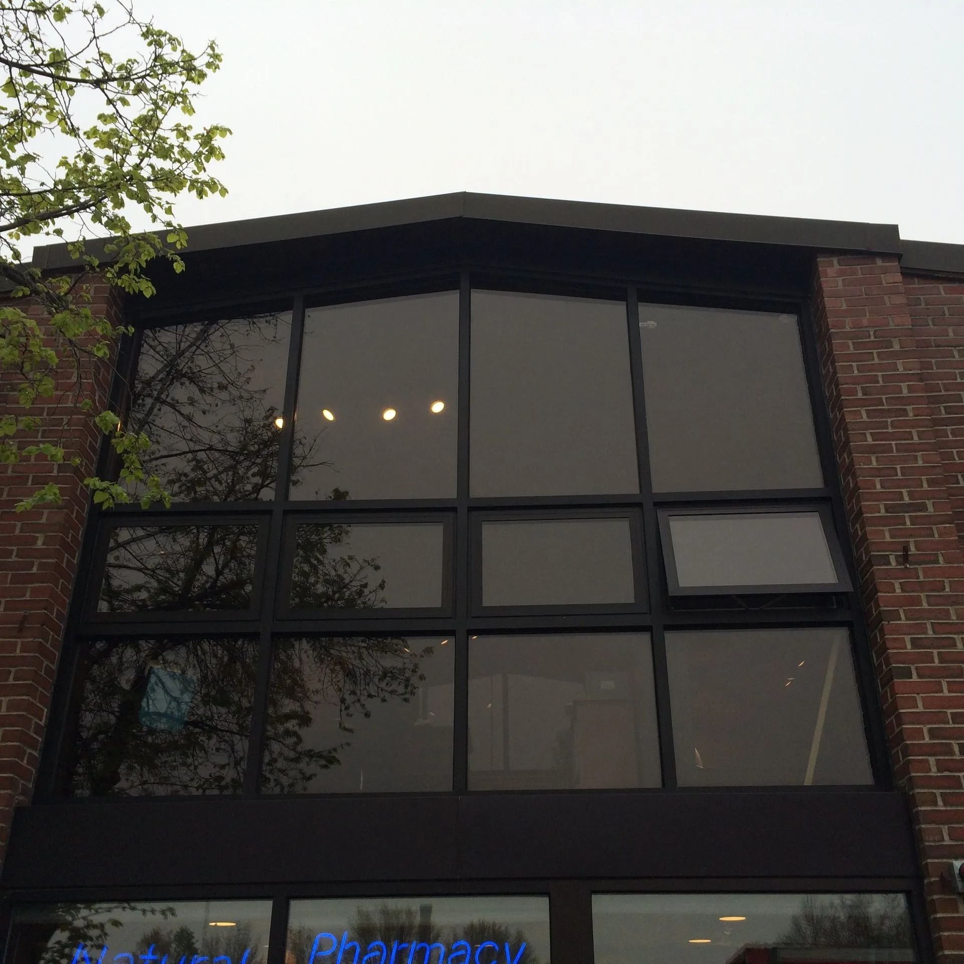 Large, dark-tinted windows above a pharmacy storefront with brick siding. A tree is partially visible.