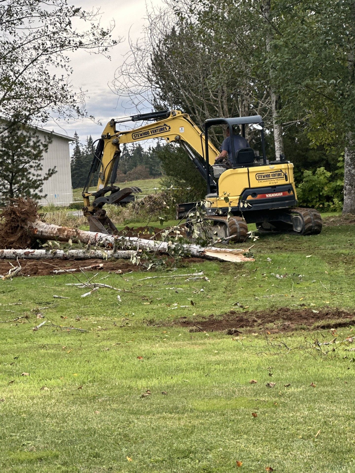 A man is driving a yellow excavator in a yard.