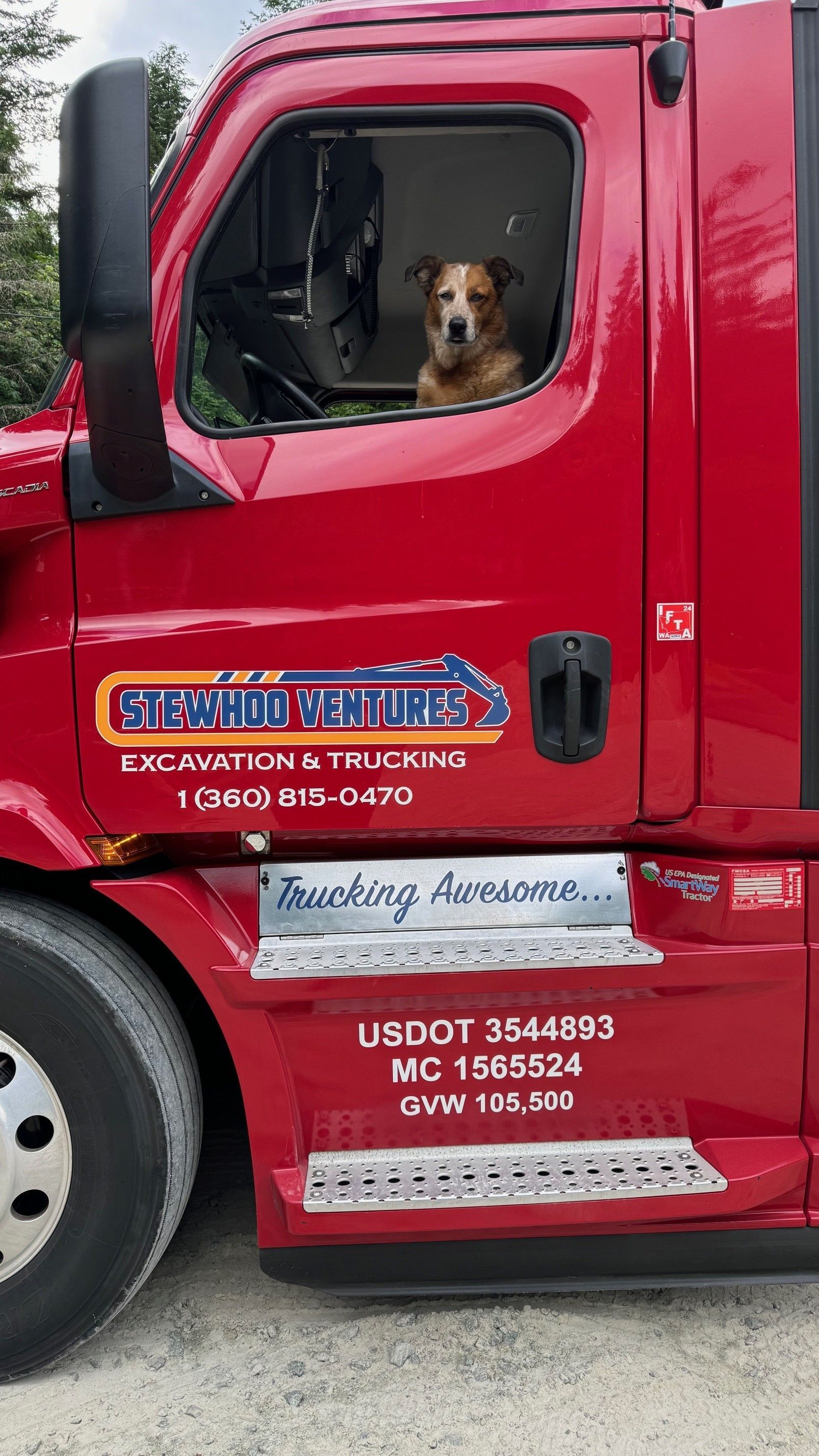 A dog is sitting in the driver 's seat of a red semi truck.